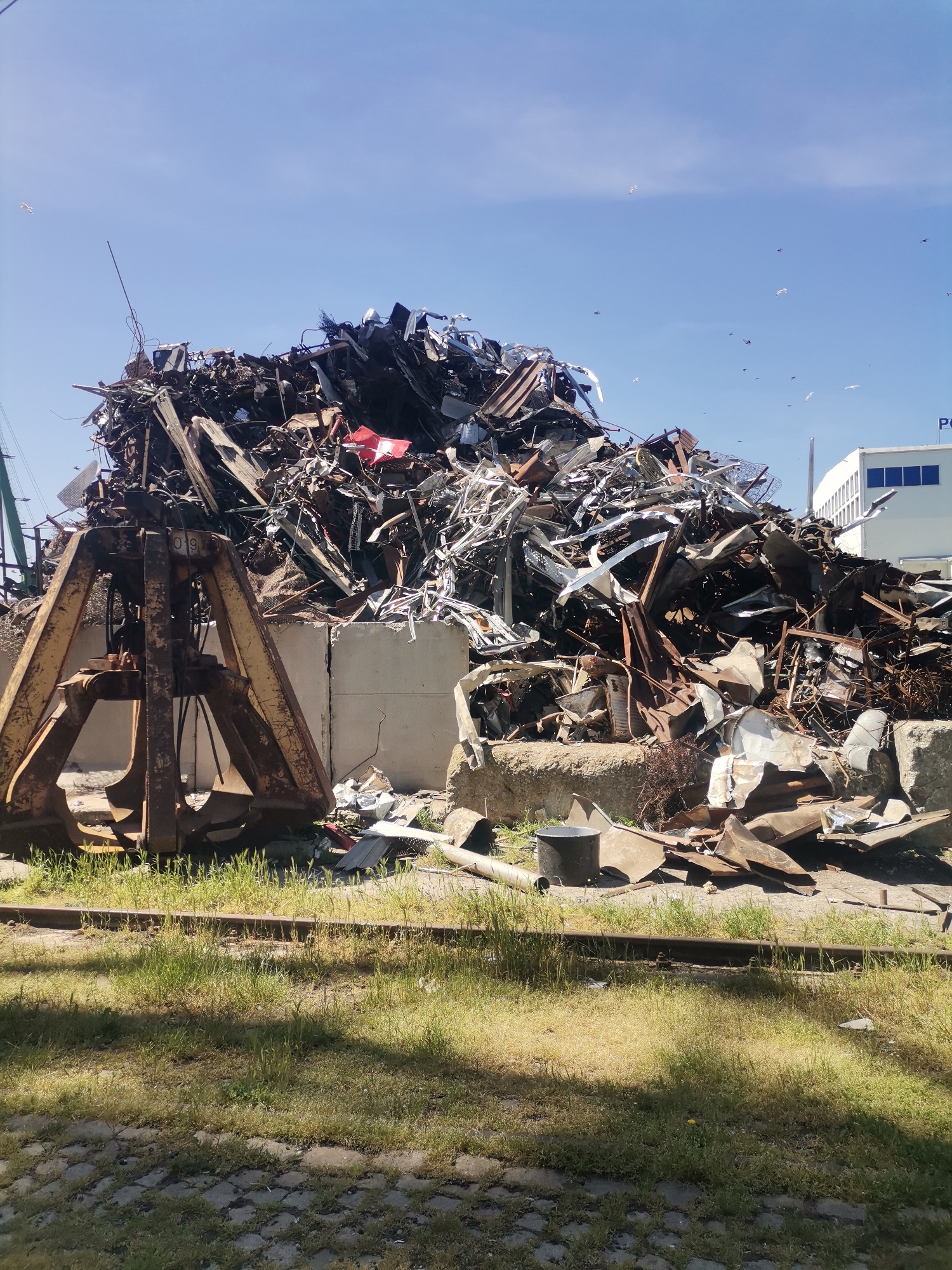 The image depicts a large industrial scrap yard or recycling facility in Varna, Bulgaria, under a bright, clear blue sky on a sunny day. The dominant feature is a massive, towering pile of assorted scrap metal, including twisted, rusted, and broken pieces of various sizes and materials, with sunlight reflecting off some surfaces.
In the foreground, a large, rusty yellow-brown industrial grappling hook or claw rests on the left, displaying the numbers "0-9" on its side. To the right of the claw and directly in front of the scrap pile are concrete blocks or barriers. The ground in the immediate foreground features overgrown grass, patches of dirt, and remnants of railroad tracks running horizontally across the bottom of the frame, with some paving stones visible at the very bottom.
In the mid-ground, the enormous scrap heap extends across the frame. In the upper right background, a modern white building with blue window panels is visible, possibly part of the facility. The letters "P" and "O" (or parts of them) are faintly discernible on its facade. Numerous small birds, likely gulls, are scattered across the expansive blue sky, with one larger white bird flying lower on the left side of the frame.
The scene suggests an ongoing industrial process of collecting and processing metal waste, with the equipment seemingly at rest. The strong sunlight indicates it is likely midday, casting distinct shadows. No people are visible.
