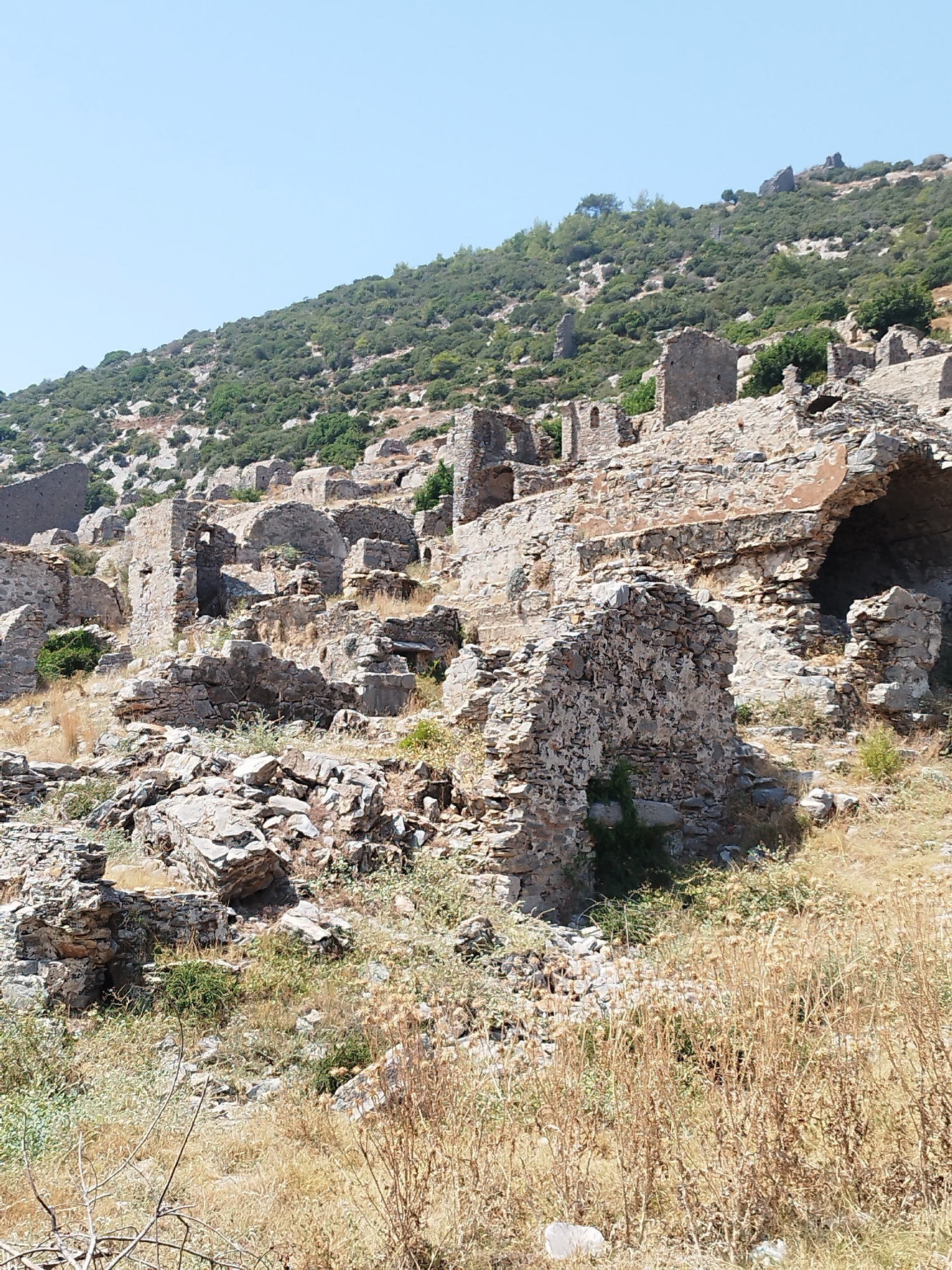 The image depicts the ruins of an ancient settlement nestled on a hillside in Anamur, Turkey. The structures are primarily composed of stone, with walls and arches partially intact, showcasing signs of significant age and decay. The landscape is arid, with sparse vegetation, dry grasses, and scattered rocks covering the ground. The hillside is covered in green shrubbery and trees, with a clear, light blue sky above. The ruins suggest a historical settlement, possibly a village or a monastic complex, due to the layout of interconnected structures and individual stone buildings. The scene is quiet and desolate, with no visible people or animals. The overall impression is one of a forgotten place reclaimed by nature.