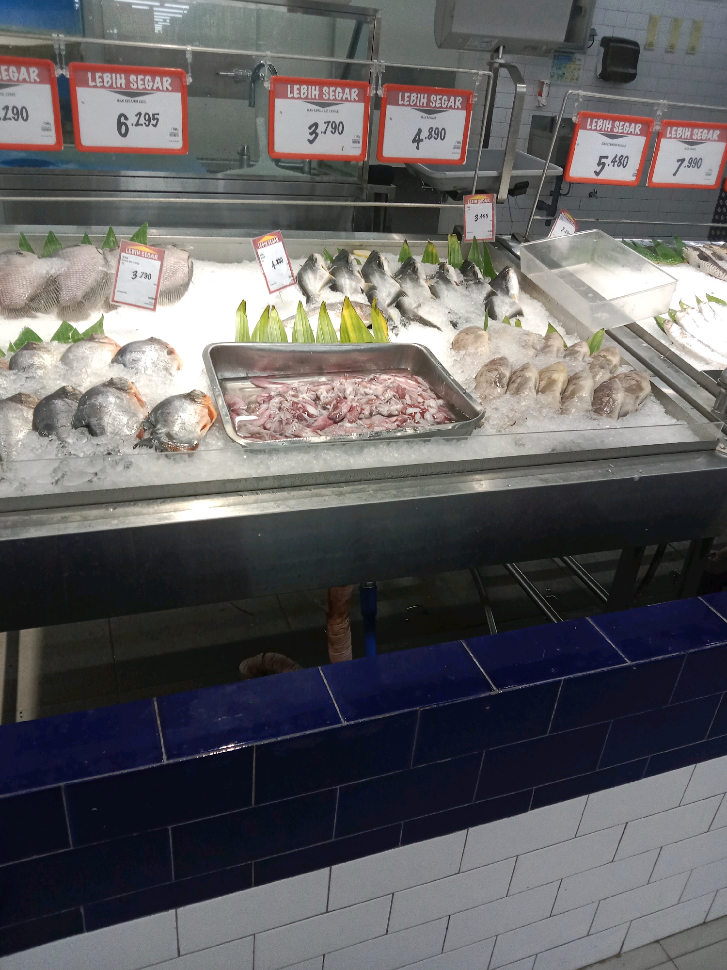 A brightly lit, indoor seafood display in a supermarket in Semarang, Indonesia features various types of fresh fish and seafood laid out on ice. Red signs with white lettering indicate prices and the words "LEBIH SEGAR" (fresher).
In the foreground, there are several large, whole fish with silvery scales, each on a bed of crushed ice, with green plastic leaves for decoration. To the right of these, a metal tray holds numerous small, pinkish-red calamari. Further to the right, more whole fish, some appearing to be whole and others filleted, are displayed on ice. These include a variety of sizes and colors, with some showing silver scales and others a darker gray or black. Some of the fish have their heads still attached. The display case is made of metal with a dark gray frame.
Above the seafood display, a white tiled wall is visible, and further up, what appears to be a commercial kitchen area with stainless steel equipment and plumbing. The overall impression is of a clean and organized retail environment. The specific location is a supermarket within the city of Semarang, Indonesia.