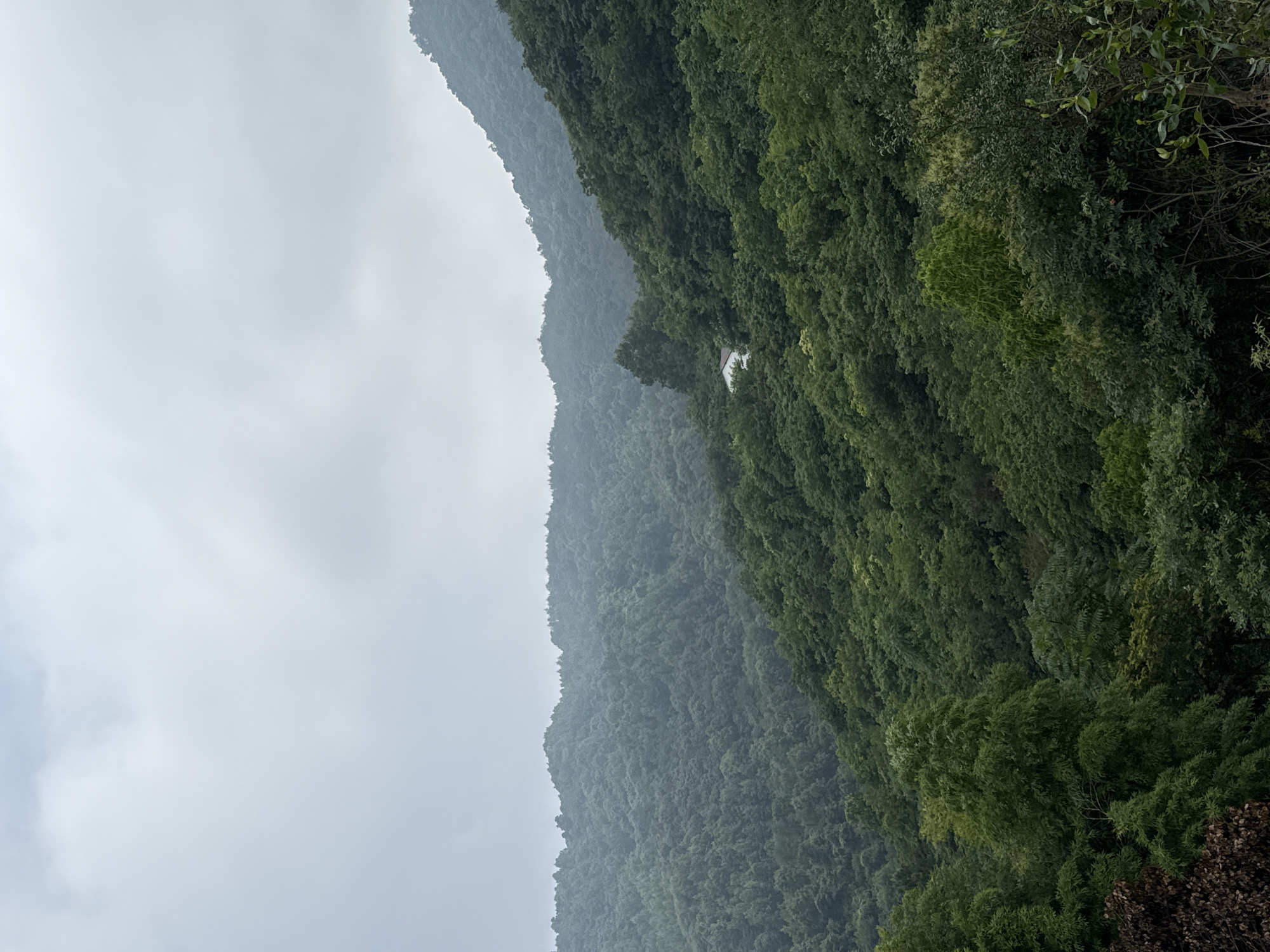 The image depicts a densely forested mountain range under a cloudy sky. The lush green trees cover the undulating slopes of the mountains, creating a textured landscape. A small, white building with a red roof is visible nestled among the trees on the right side of the frame, suggesting a remote dwelling or structure. The foreground shows more trees, with some darker, dried foliage on the lower left. The overall impression is one of natural, mountainous terrain, possibly a rural area or a park on the outskirts of Yiwu, China, characterized by its abundance of vegetation and the overcast weather.