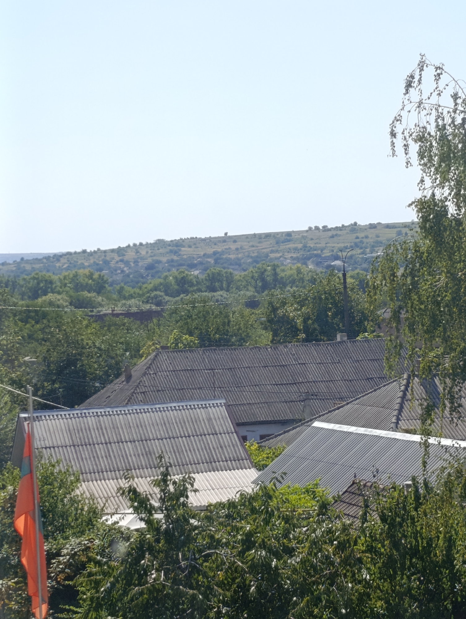 The image depicts a view of rooftops and foliage in Dubăsari town council, Moldova. In the foreground, a flagpole with a tri-colored flag (orange, teal, and red) is visible on the left. Behind the flag, several houses with gray, corrugated roofs are clustered together. Lush green trees and bushes surround the houses, with some branches extending over the rooftops. In the middle ground, more houses with similar roofing are interspersed with dense greenery. The background shows a rolling, verdant landscape with scattered trees and buildings, suggesting a rural or semi-rural setting within the town council. The sky is clear and pale blue.