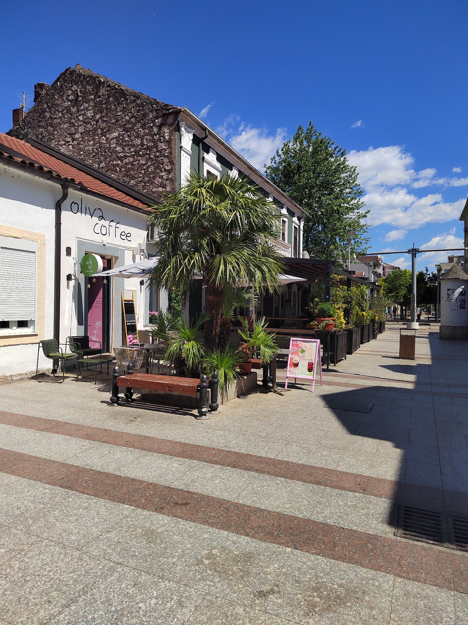 The image shows a street scene in Podgorica, Montenegro, during daylight. "Oliva Coffee" is visible on a white building with outdoor seating and a palm tree. A wooden bench and a pink sign advertising "SOFT DRINKS" are in front of the cafe. The walkway is paved with gray stone with reddish-brown stripes. Potted plants line the sidewalk along the street. The sky is blue with some clouds.