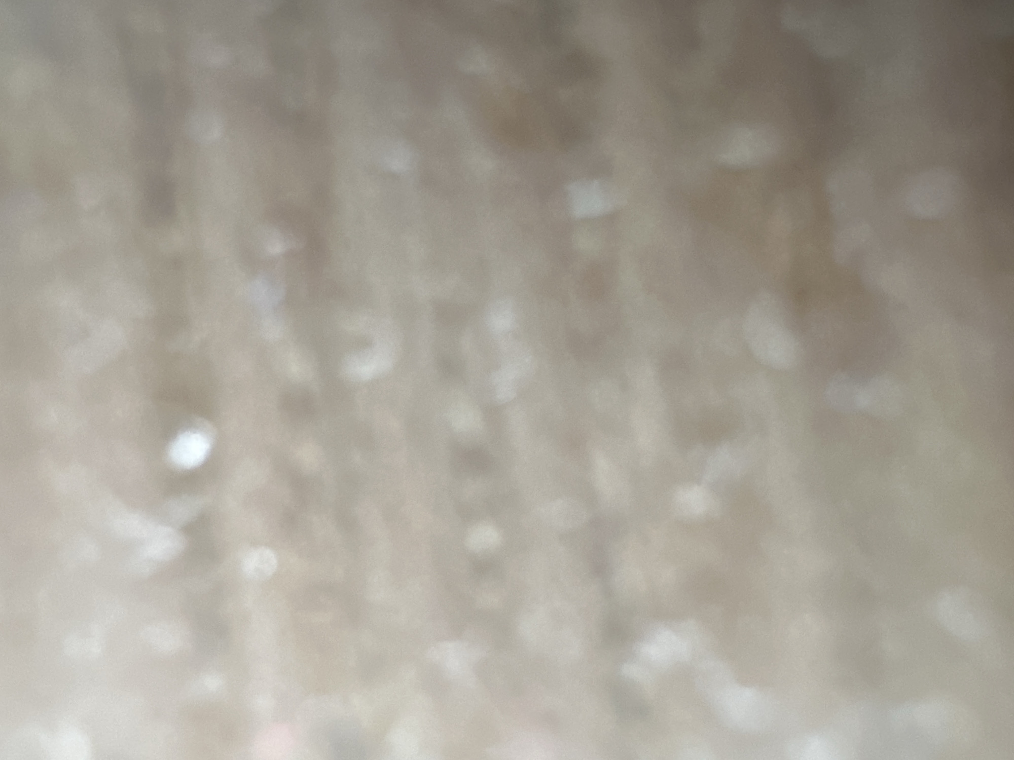 This is a close-up, abstract, and heavily blurred image. The dominant colors are muted shades of beige, brown, and white, creating a soft, ethereal texture. There are no discernible subjects such as people, specific objects, or a clear scene. The activity or event is not identifiable due to the extreme lack of focus.
Notable details are limited to the abstract patterns of light and shadow created by the blur. The bright white spots could be reflections or out-of-focus light sources, suggesting a potentially illuminated environment, but the time of day, weather, or specific location cues are impossible to determine. There are no emotions conveyed due to the lack of recognizable forms.
No visible text is present in the image. The context of Belgrade, Serbia, does not provide any direct visual information to interpret from this abstract media file.