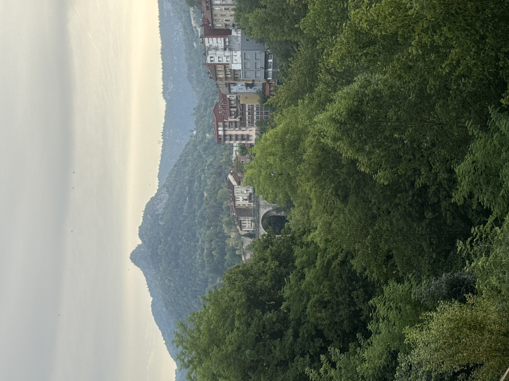 The image depicts a scenic view of Saint-Claude, France, with a focus on the natural landscape and urban architecture. In the foreground, dense green trees dominate the lower half of the frame, creating a lush, verdant foreground. Beyond the trees, a stone bridge with multiple arches spans across a gap, hinting at a river or valley below.
Further in the background, a cluster of multi-story buildings, characteristic of a European town, are visible. These buildings feature a variety of architectural styles and colors, with some appearing to be older stone structures and others more modern constructions. A prominent, sharply peaked mountain rises in the distance, its slopes covered in trees. The sky above is overcast with a pale, diffused light, suggesting either early morning or late afternoon. There are no visible people or animals in the image.