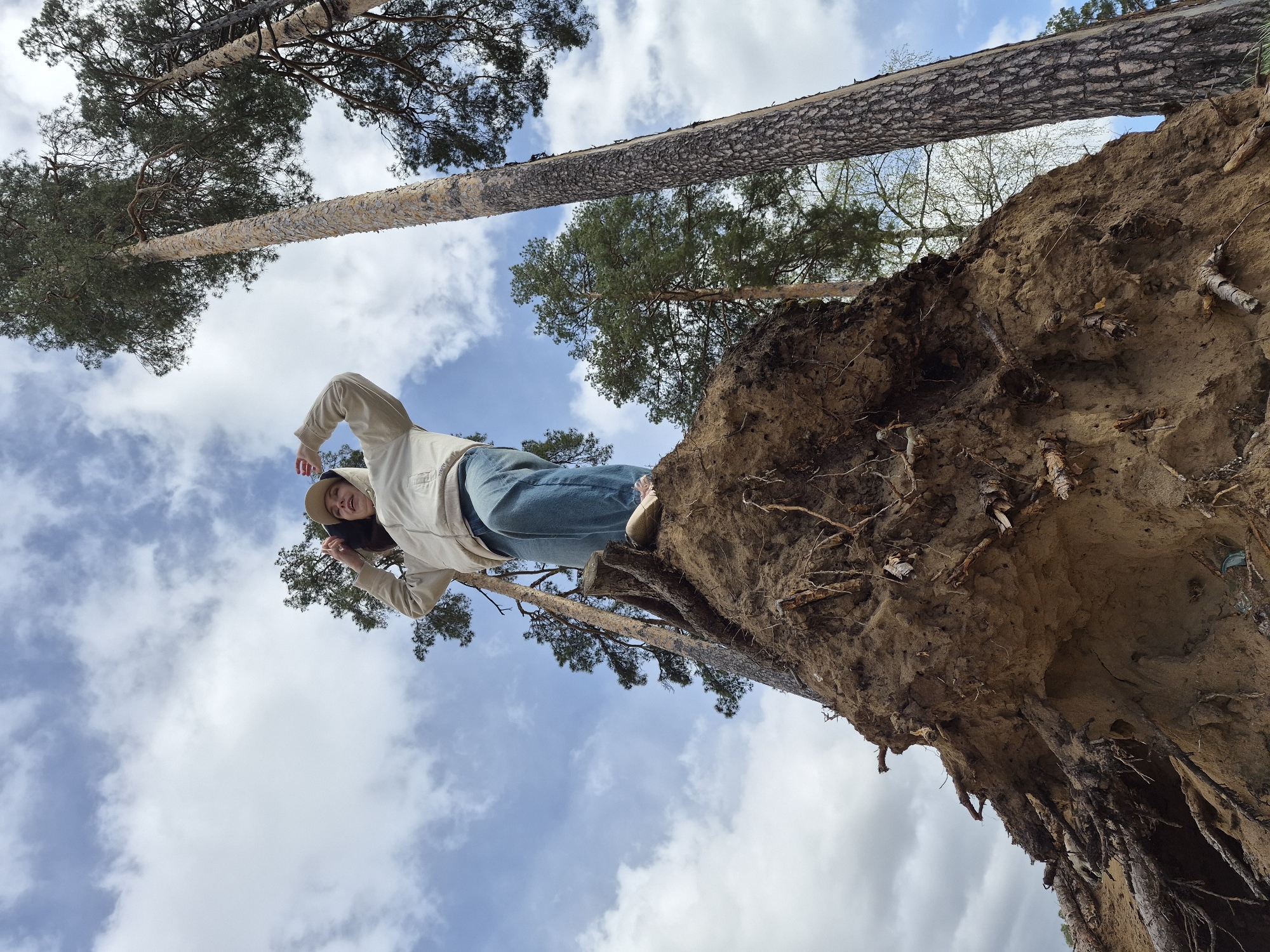 A low-angle shot captures a person lying horizontally on an exposed tree root system. The person, appearing female, is wearing a light-colored jacket, blue jeans, and a cap. She has dark hair. Her arms are raised, one hand near her face. Above her, several tall trees reach into a blue sky dotted with white clouds. The exposed roots of the tree stretch downward, revealing a mix of soil, roots, and organic debris. The image was taken in the city of Chaikovsky, Russia.