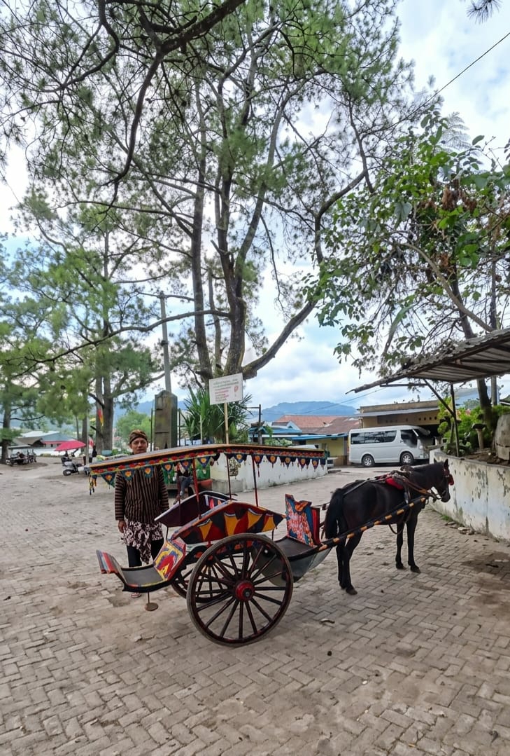A man in traditional Indonesian attire stands beside a colorful horse-drawn carriage. He wears a striped shirt and a batik sarong, with a matching headcloth. The carriage is ornately decorated with red, yellow, and black patterns and has a canopy. A black horse is harnessed to the carriage, standing patiently.
The scene appears to be an outdoor tourist area. The ground is paved with bricks. In the background, there are buildings, a white van, and lush green trees with tall pines dominating the upper portion of the image. The sky is overcast with clouds. Mountains are visible in the distance.
The overall mood is serene and perhaps hints at a cultural experience offered to tourists. The location context suggests this might be a tourist attraction in Gundaling 2, Indonesia. There is a sign in the background with text, but it is unreadable due to the resolution. The time of day appears to be daytime, given the lighting.
