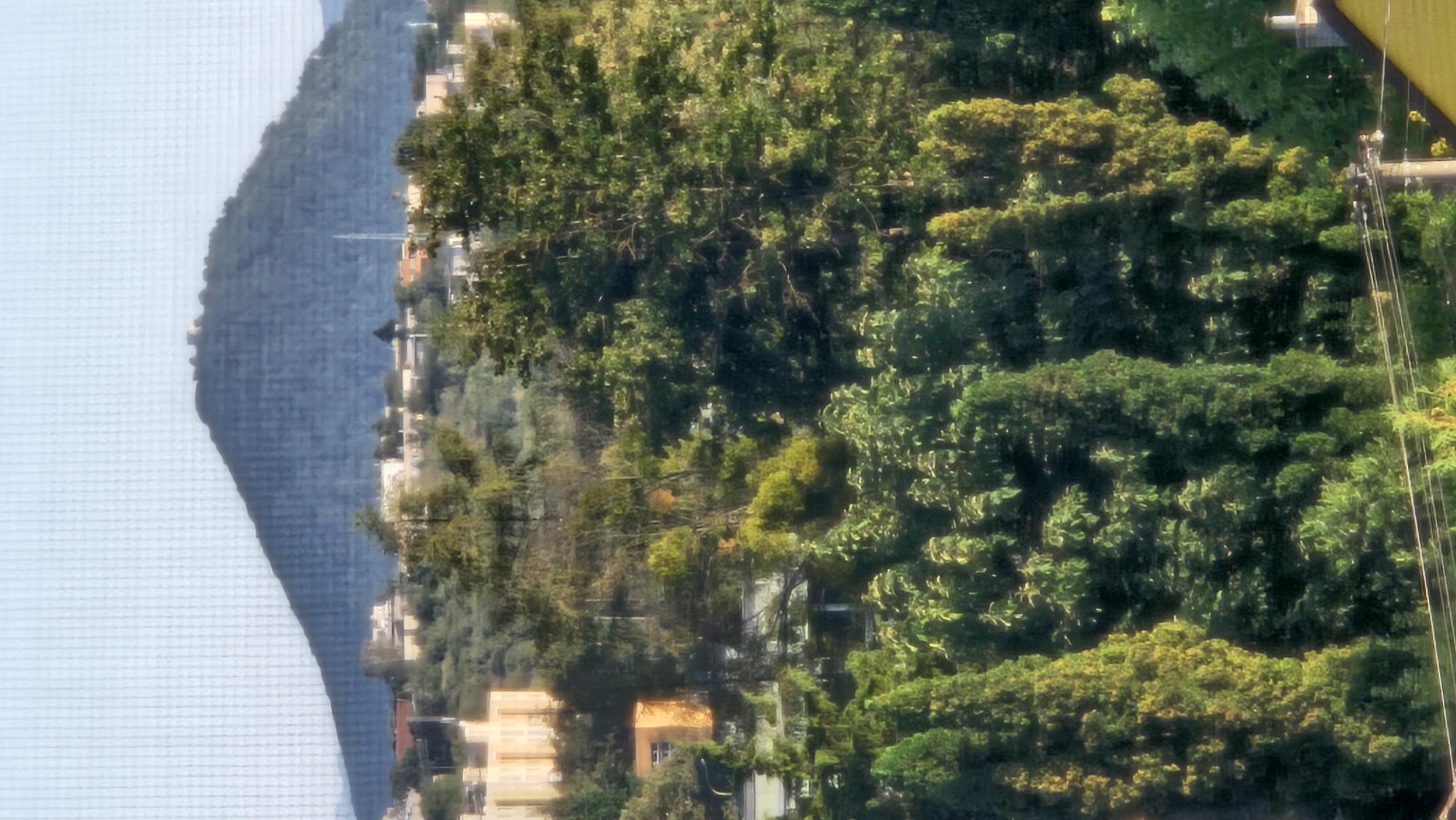 The image is an outdoor, vertical shot of a hillside settlement at the base of a large, conical mountain. The mountain, which dominates the background, is dark blue and appears to have some structures on its summit. The foreground is filled with dense green foliage, including tall cypress-like trees. In the middle ground, there are several buildings, including a light-colored, multi-story structure with visible windows on the left, and a smaller, orange building. Some of these buildings are partially obscured by the trees. The sky above is a pale blue with a faint grid pattern, suggesting the photo was taken through a screen or window. The lighting suggests it is daytime, possibly late afternoon due to the warm tones on some of the foliage and buildings.
The image shows the view towards the **Spiš Castle** from the city of Prešov, Slovakia. The mountain in the background is indeed the hill on which Spiš Castle is situated. The buildings in the middle ground are part of the settlement around the castle.