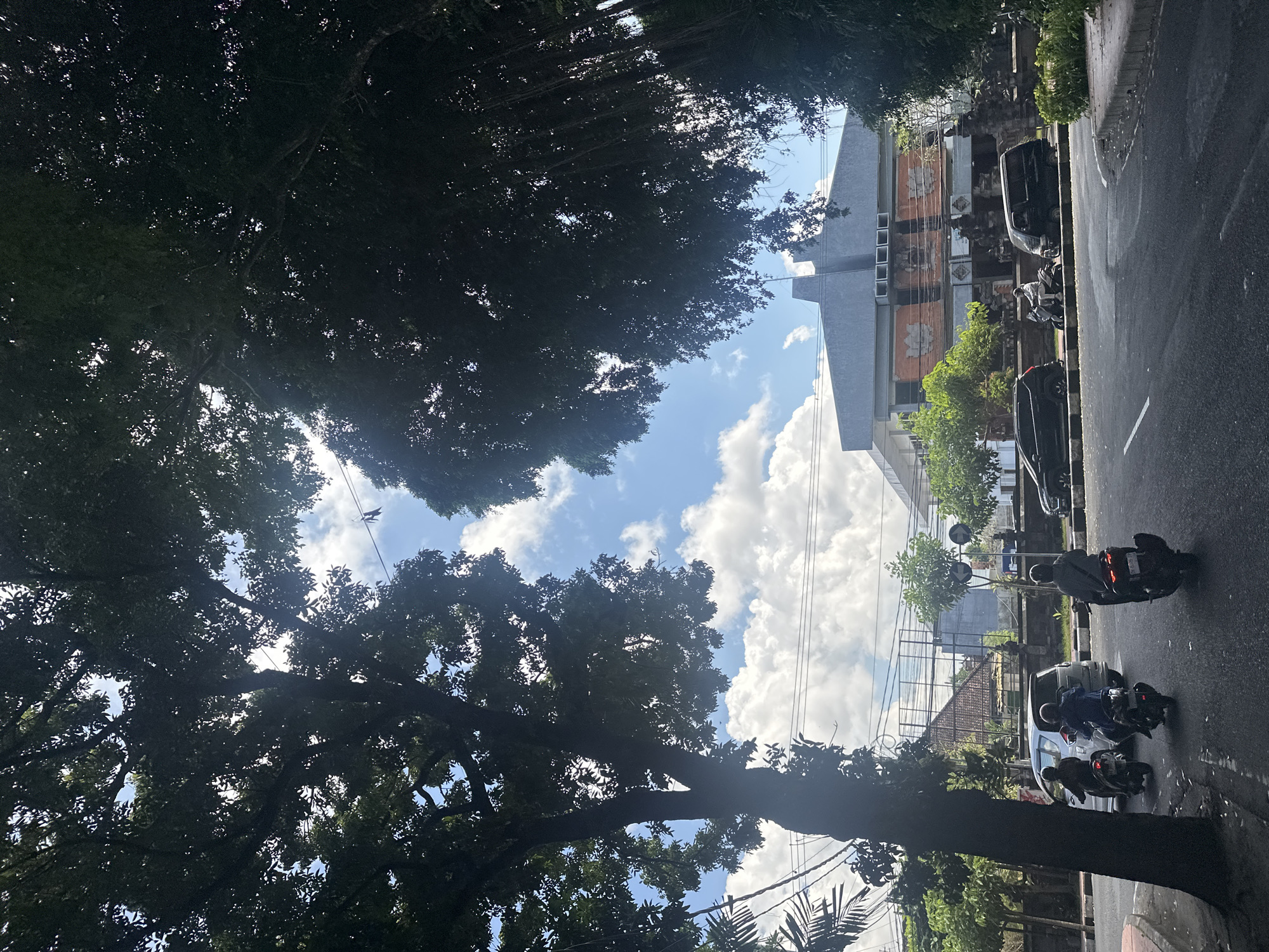 In Denpasar, Indonesia, on a city street bordered by lush trees, a bright blue sky with fluffy white clouds is visible. The road has several vehicles, including two cars and three motorcycles, one of which is being ridden by a person wearing a gray hoodie. The motorcycles are moving on the road, with one of them appearing to be turning. In the background, a building with a distinctive architectural design featuring lotus motifs stands out. The scene is framed by the dark silhouettes of large trees with dense foliage, suggesting a tropical environment.