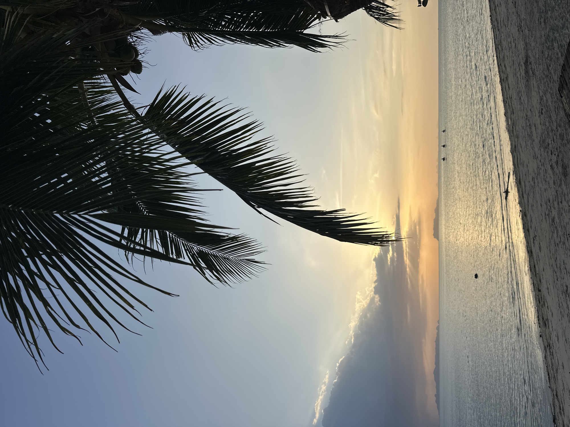 This is a photograph taken at sunset on a beach in Koh Samui, Thailand. The foreground features a sandy beach with a palm frond extending into the frame from the top right. The middle ground is a calm ocean reflecting the warm hues of the sunset. In the distance, several islands are visible on the horizon. The sky is a gradient of blue and orange, with some clouds illuminated by the setting sun. Three figures on horseback can be seen in the water in the mid-distance.