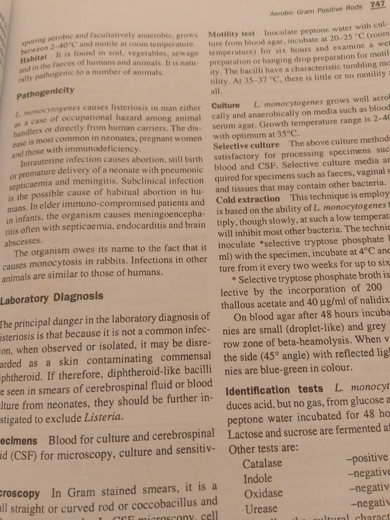 The image displays a page from a medical textbook or journal, detailing information about bacteria, specifically *L. monocytogenes*. The text is divided into sections such as "Habitat," "Pathogenicity," "Laboratory Diagnosis," "Culture," "Selective culture," "Cold extraction," "Identification tests," and various tests like "Catalase," "Indole," "Oxidase," and "Urease." The content focuses on microbiological characteristics, growth conditions, and diagnostic methods for this bacterium. There is no information about the city of Jauro Yinu, Nigeria, or any forensic details within the image.