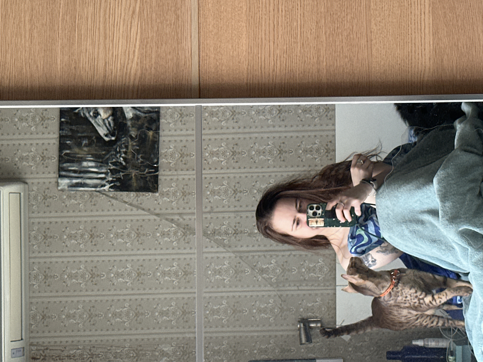A mirror selfie captures a person with long brown hair holding a phone, reflected against a patterned wallpapered background. To the left is a small framed picture and an air conditioning unit on the wall. Beside the person is a brown cat with a collar and a gray blanket or garment is on the right. The setting appears to be a bathroom. The location is not discernible from the visual data to be Moscow, Russia.