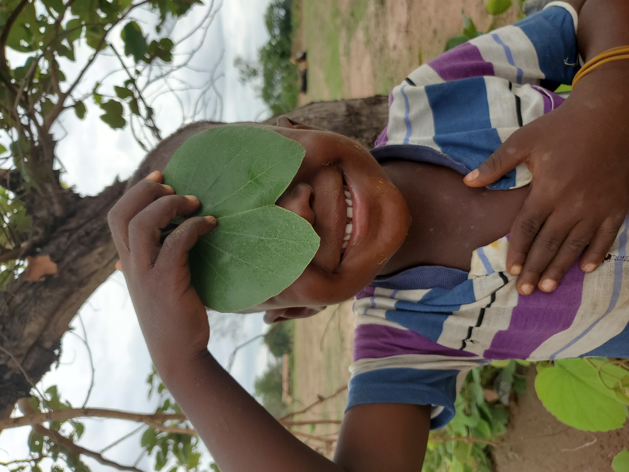 This vibrant image captures a close-up portrait of a young child in Mararaba, Nigeria, engaged in a playful moment outdoors. The child, depicted from the chest up, has dark skin and is wearing a short-sleeved, striped shirt with blue, white, and purple patterns.
They are holding two large, fresh green leaves over their eyes, creating a whimsical, mask-like effect. A wide, joyful smile spreads across the child's face, revealing bright white teeth, indicating happiness and lightheartedness. Both hands are visible, holding the leaves in place; one hand is on the left side of their face, while the other is partly seen against their striped shirt, adorned with a thin yellow bracelet on the wrist.
The background is softly out of focus, hinting at a natural, open-air setting. On the left, a large tree trunk and its branches with green foliage are visible against a bright, possibly overcast sky. To the right and in the distant background, there appears to be an open field or dirt ground. The lighting suggests it is daytime, with soft, natural illumination. The overall mood conveyed by the image is one of innocence, joy, and play. There is no visible text.