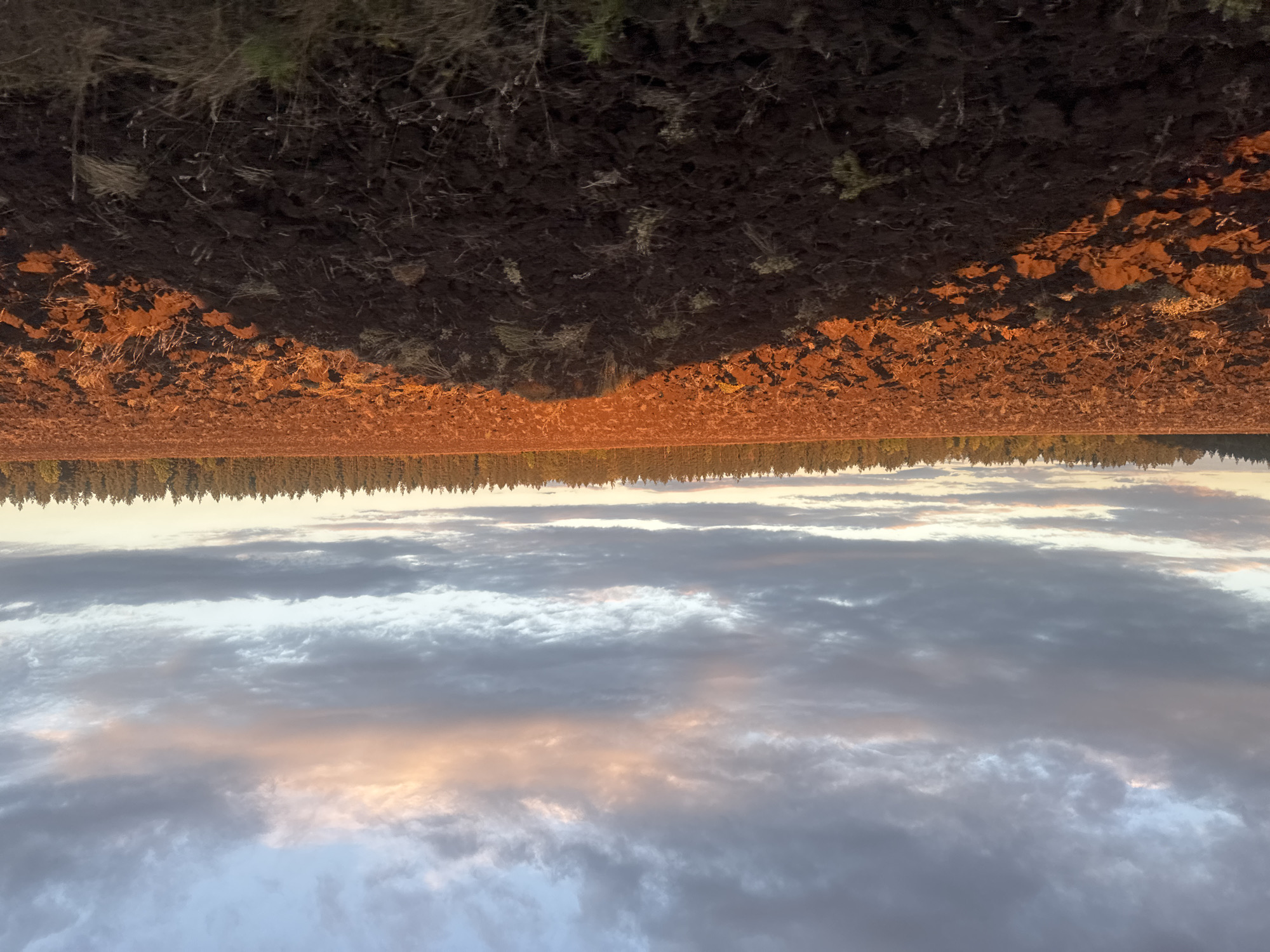 The image shows a vast, plowed field under a dramatic sky at sunset. The soil in the foreground is dark and rough, with a distinct shadow cast across it, suggesting the presence of an unseen object or terrain feature. Further into the field, the soil is lighter, reflecting the warm hues of the setting sun, creating a textured, orange-brown landscape. In the distance, a dense line of dark green evergreen trees forms a natural border against the horizon. Above the trees, the sky is filled with a mix of grey and soft pink clouds, illuminated by the golden light of sunset. The overall scene is one of rural tranquility, characteristic of agricultural land outside a populated area. The question about Vasil'evka, Russia cannot be answered from the provided image.