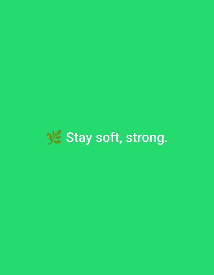 The image displays a digital graphic on a solid, uniform green background. Centered horizontally and positioned in the lower-middle section of the frame is a motivational phrase. The text reads "Stay soft, strong." and is rendered in white, sans-serif font. To the immediate left of the text is a small, stylized icon depicting a branch with multiple leaves, rendered in a metallic brownish-gold color. There are no people, actions, interactions, or discernible environmental features other than the background, text, and icon. The image provides no visual information regarding its location in Casablanca, Morocco, or any other specific geographical area.