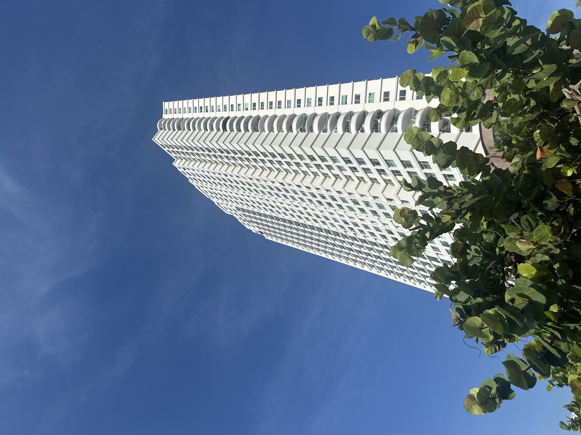 A low-angle, full shot captures a white, modern high-rise apartment building against a vibrant blue sky with wispy clouds. The building's facade is characterized by repeating rows of windows and balconies, with curved balconies on the right side of the structure. In the foreground, lush green foliage with large, round leaves partially obscures the lower portion of the building. The scene suggests a sunny day in a coastal urban environment. Given the architectural style, the tropical vegetation, and the clear blue sky, this scene is likely located in a city like Nha Trang Ward, Vietnam.