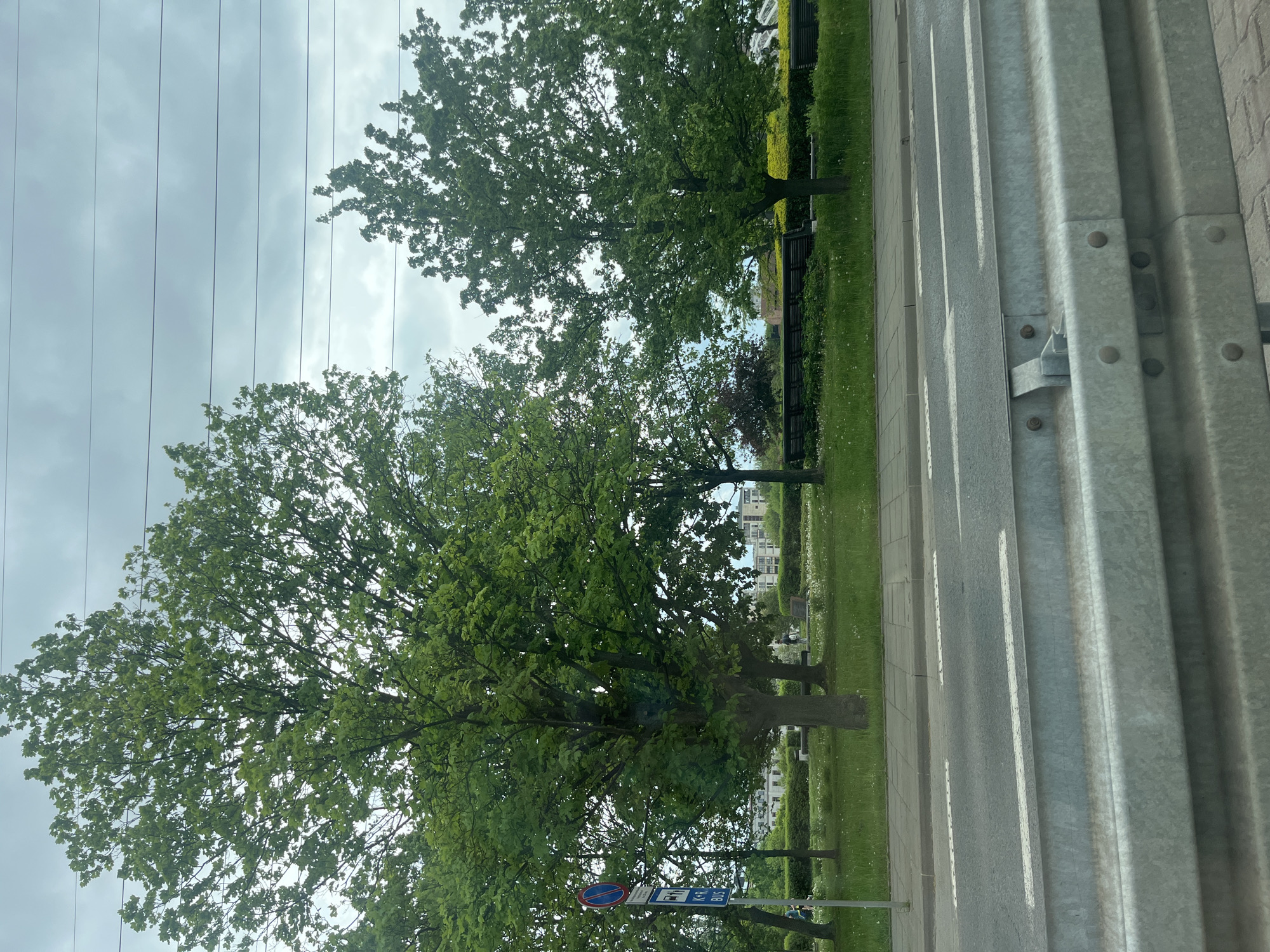 The image depicts a street scene in Unknown, Unknown. Trees with green foliage line the road, which is bordered by a gray guardrail on the right side of the frame. Power lines stretch across the sky, which is overcast with gray clouds. A bus stop sign is visible near the trees. In the background, buildings are faintly discernible.