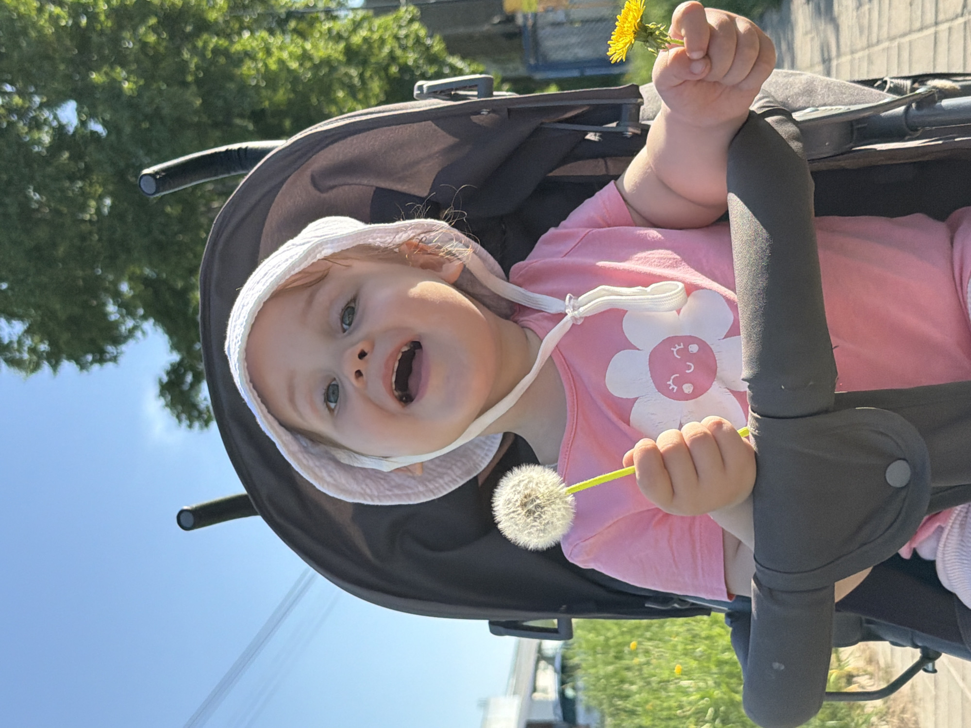A baby sits in a stroller, wearing a pink shirt with a flower on it and a white bonnet. The child is holding a yellow dandelion and a white dandelion puff in their hands. The stroller is on a sidewalk outdoors. The location is Chaikovsky, Russia.