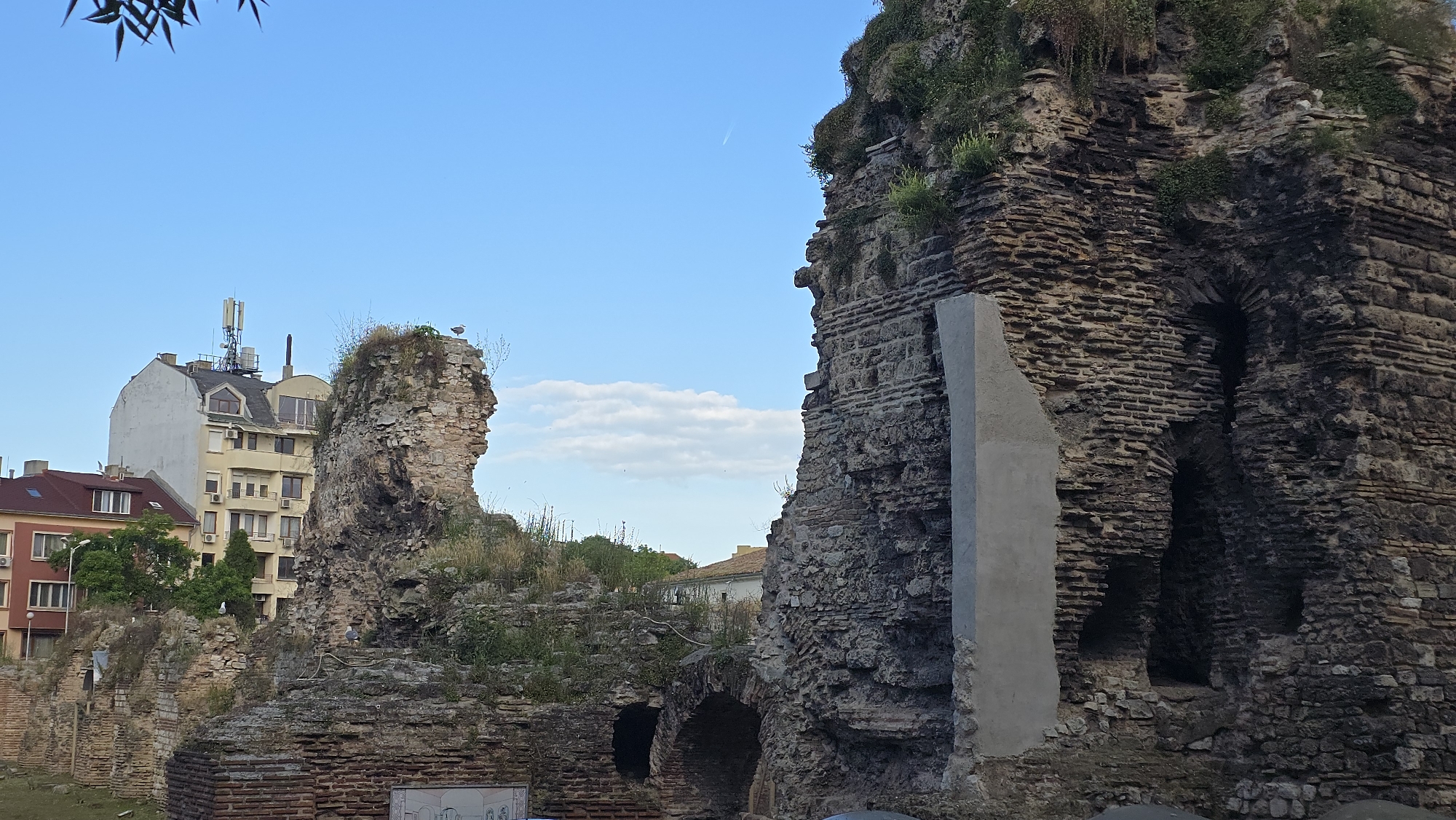 The image depicts ancient Roman ruins, specifically remnants of the Roman Thermae in Varna, Bulgaria. The foreground is dominated by a large, crumbling brick structure, showcasing intricate brickwork and arched openings. Vegetation, including grass and small trees, grows atop and around the ruins, indicating a long period of abandonment and natural reclamation. In the background, modern buildings stand in stark contrast to the ancient structures. One prominent building is a light yellow, multi-story apartment complex with a white facade on the left, featuring numerous windows and air conditioning units. Another building, colored in shades of red and white, is visible to the left of it. The sky above is a clear, light blue with a few wispy clouds and a faint contrail from an airplane. A single seagull is perched atop the tallest ruin on the left, and another is visible on a lower section of the ruin on the right. The overall scene captures the juxtaposition of ancient history and modern urban life in Varna.