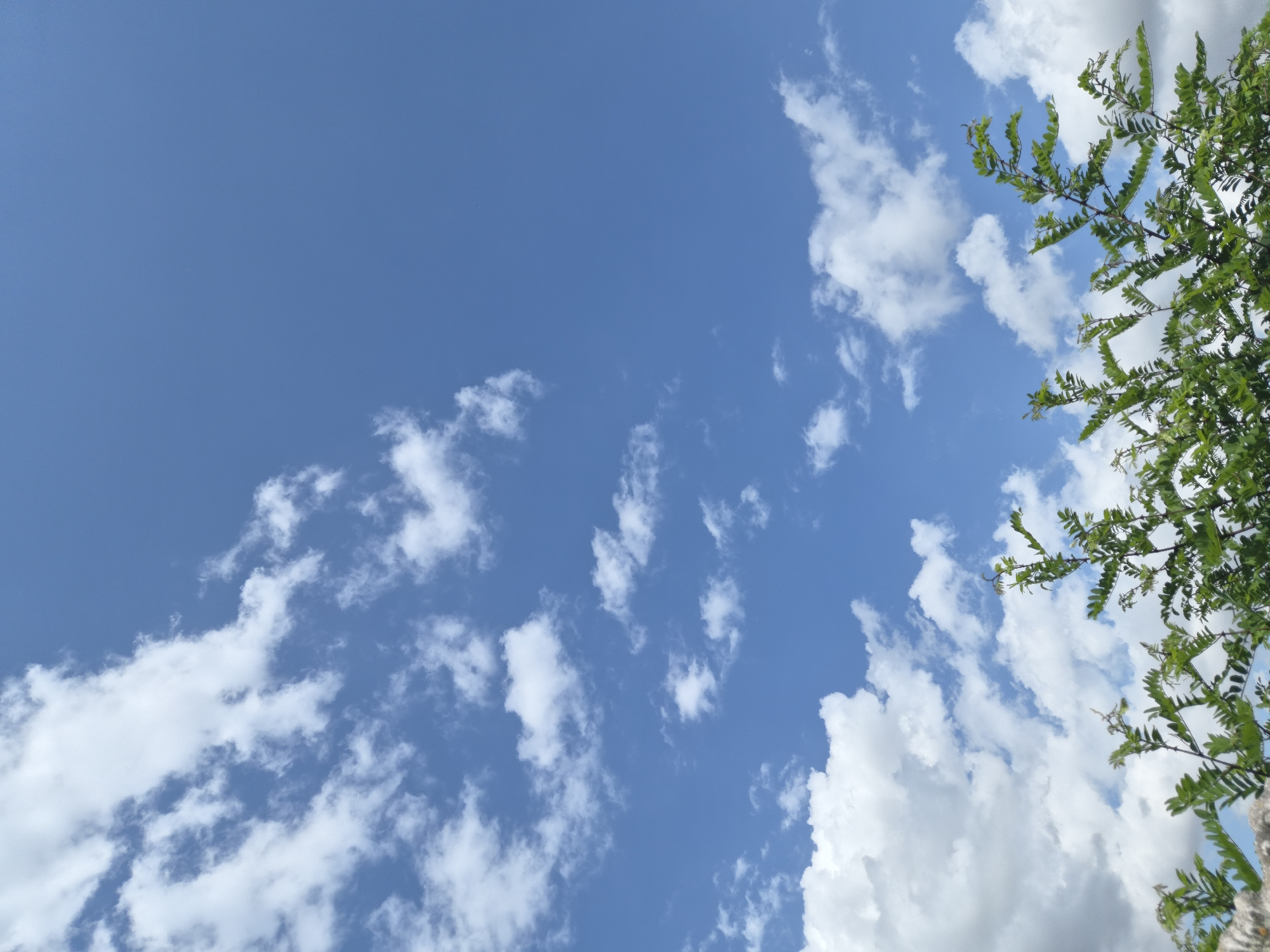 The image shows a bright blue sky with scattered white clouds. In the foreground, the tops of green trees with small leaves are visible. The scene appears to be an outdoor environment, possibly a park or natural area, within the vicinity of Краснадворскі сельскі Савет, Belarus. There are no people or animals present in the image, and no actions or interactions are depicted. The overall impression is one of a clear, sunny day.