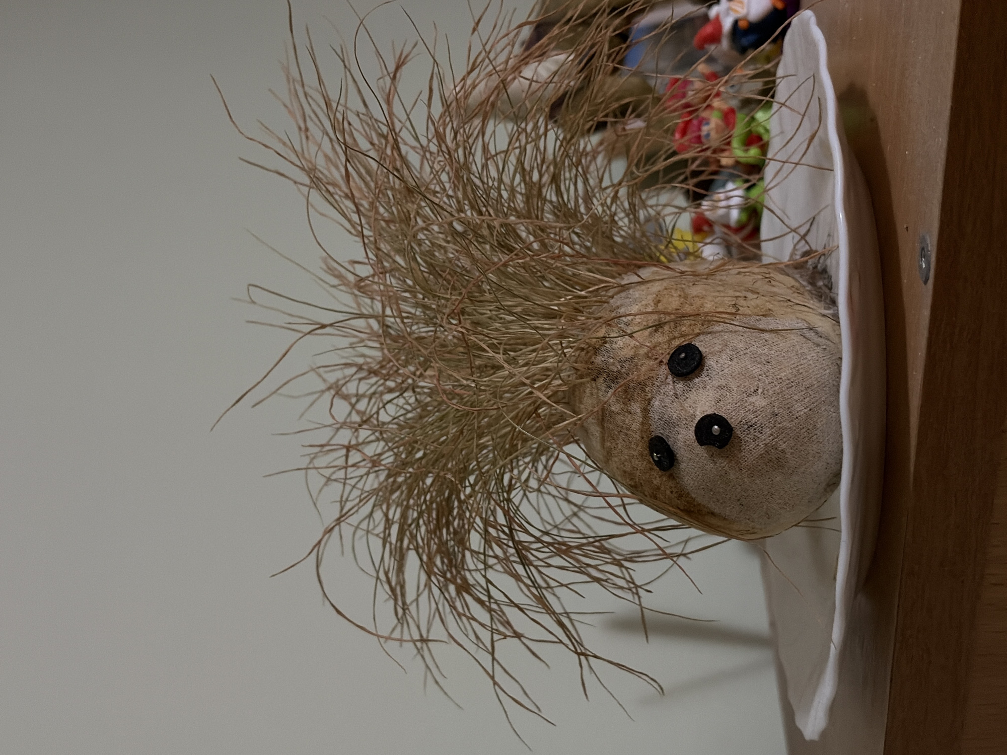A stuffed head with button eyes and straw hair sits on a white plate, with a light gray wall visible in the background. A section of a wooden table or cabinet is visible to the right, with a silver screw. Colorful figurines are partially visible behind the head, inside the plate. The image is rotated counterclockwise. The location in the city of Budva, Montenegro is not discernible from the image.