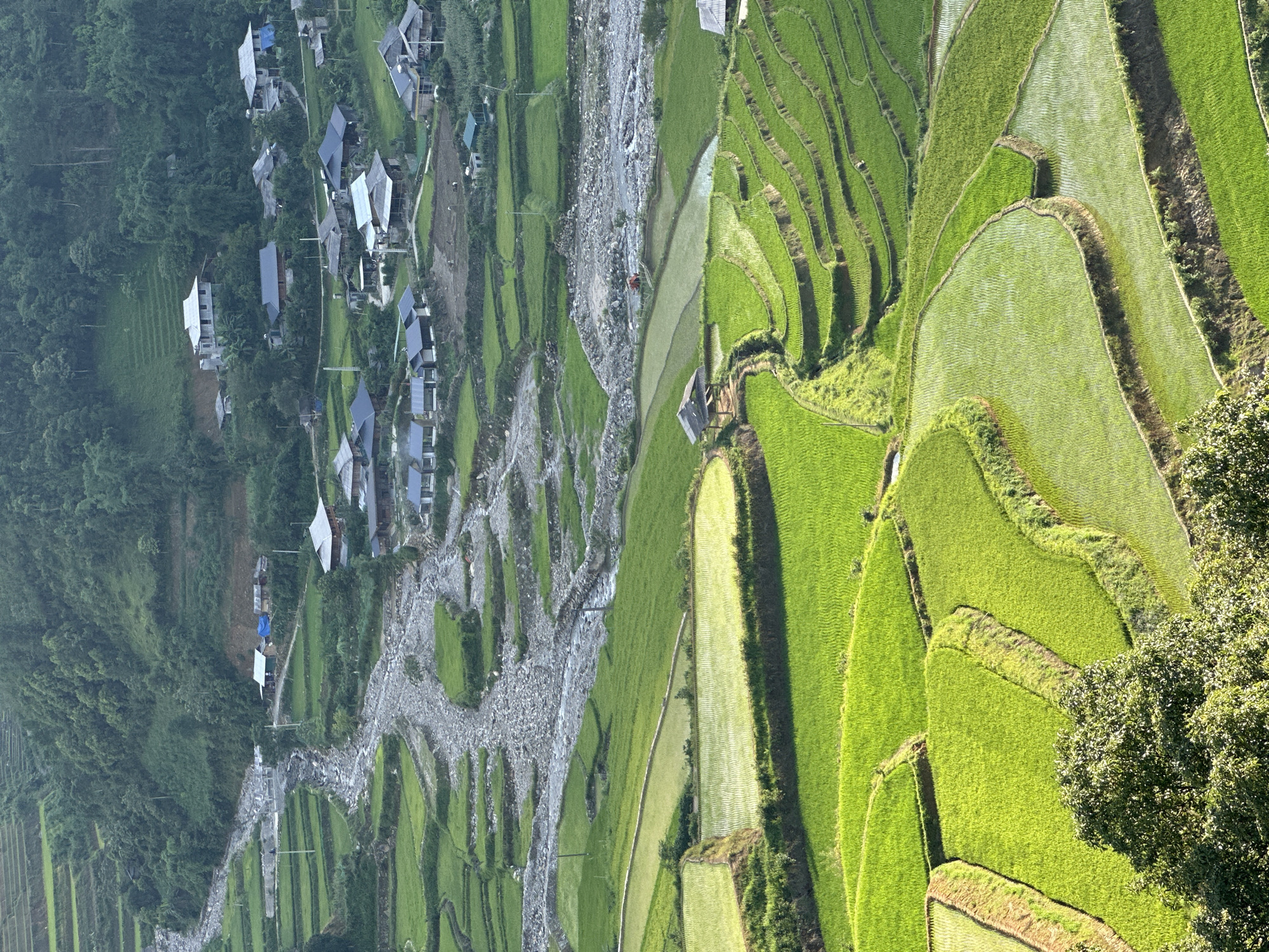 This aerial view captures a vibrant agricultural landscape in Tu Le, Vietnam, under clear daylight. The foreground and midground are dominated by numerous tiers of meticulously cultivated terraced rice paddies, displaying a spectrum of vivid green hues. Some paddies are densely planted with young rice, exhibiting textured surfaces, while others are partially flooded, creating reflective surfaces. A small, open-sided wooden hut with a dark roof is centrally located among the terraced fields on the left.
A wide, irregular riverbed, largely composed of grey rocks and pebbles, meanders through the midground, with a narrow stream of water flowing within it. On the far side of the river and extending up the lower mountain slopes, a village settlement is visible. This village consists of numerous houses with diverse architectural styles; some feature dark, possibly tiled or corrugated roofs, while others have lighter, possibly concrete or metal roofs, with a few appearing to be under construction. A winding dirt path or road connects parts of the village. The background features steep, densely forested mountains, indicating a rich natural environment. No people or animals are explicitly discernible within the frame.