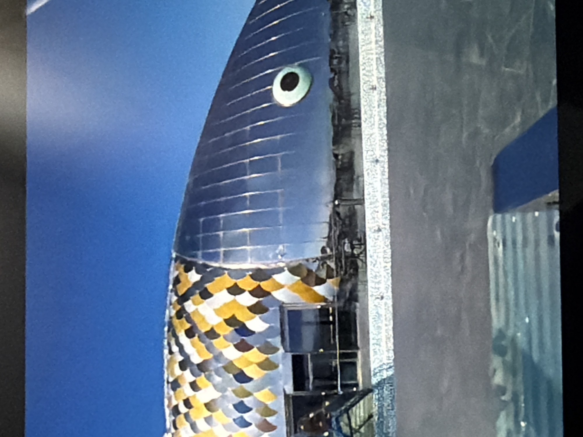 This media file features a close-up, vertically oriented shot of a building designed to resemble a fish. The building's head, which faces upwards in the frame, is a metallic blue with horizontal lines suggesting scales. A large, round eye with a black pupil and a light green iris is prominent on the head. Below the head, the building's body is covered in overlapping, scale-like tiles in a pattern of yellow, gold, white, and dark blue.
The building appears to have windows and access points, with visible metal walkways and railings attached to its side. To the right of the fish-shaped building, there is a textured, grey surface, possibly another structure or a wall, with a blue band running across it. Further to the right, a corrugated metal structure is visible.
The background is a bright, clear blue sky, suggesting a daytime scene with fair weather. No people are clearly discernible in the image. The overall impression is that of an unusual architectural structure, likely an art installation or a uniquely designed building in an outdoor setting. The location context provided is Lopatino, Russia. There is no visible text in the image.