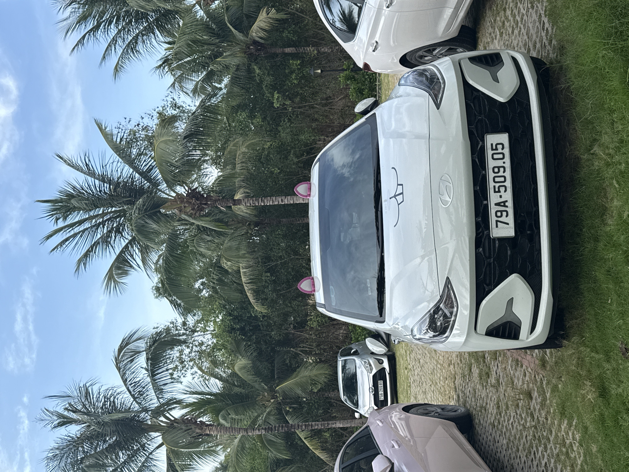 The image shows a parking area in Cam Lam, Vietnam. In the foreground, there is a white Hyundai car with license plate number 79A-509.05 parked on a grass and concrete surface. Nearby, partially visible, is a beige car in the lower part of the image and a white car in the upper portion. Tall palm trees dominate the background, alongside other trees. The sky is light blue with minimal cloud cover.