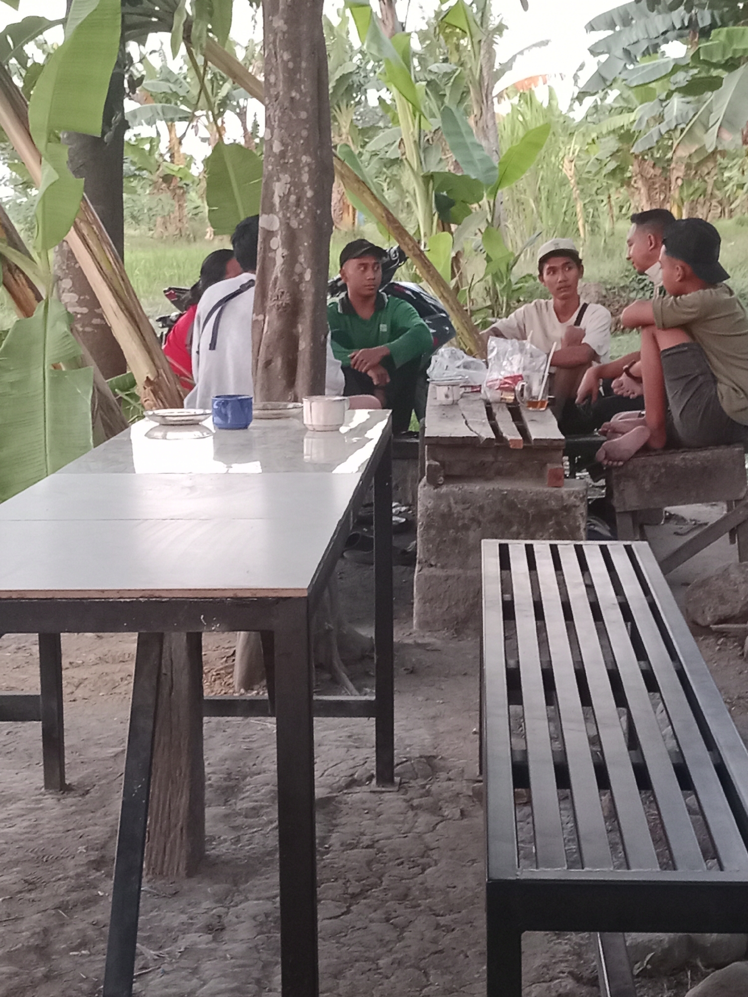 The image depicts an outdoor scene with a group of young men gathered around a table and a bench. The location is identified as Sambungrejo, Indonesia. The environment is characterized by lush vegetation, including banana trees, suggesting a tropical or subtropical setting. The ground appears to be dirt or gravel.
There are at least five young men visible in the frame. Some are seated at a wooden table, while others are on a bench or sitting on the ground. The men are casually dressed in t-shirts and shorts, with one wearing a baseball cap. They appear to be interacting, possibly engaged in conversation or sharing a meal.
On the table, there are several items including plates, cups, and a plastic bag, suggesting they might be having a break or a casual gathering. One man is holding a plastic cup with a straw, and another has a blue cup. A white mug is also visible.
A prominent feature in the foreground is a modern metal bench with a slatted seat. To the left, a long, tiled-top table with black metal legs is set up. The overall atmosphere seems relaxed and informal. The lighting suggests it is either early morning or late afternoon.