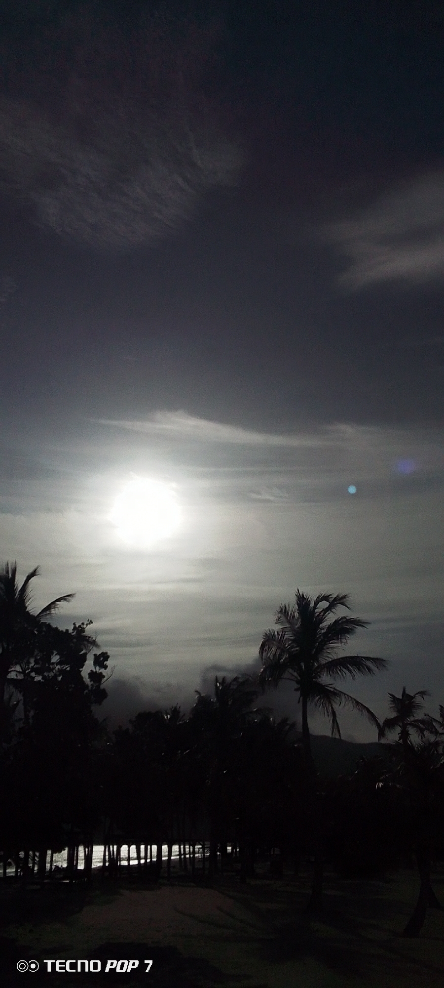 A low-angle, nighttime view shows a beach landscape. The moon or sun appears bright and diffused through clouds in the upper center. Silhouetted palm trees and other foliage line the beach. The sand appears dark in the foreground, with a narrow strip of reflective water visible behind a row of trees. The words "TECNO POP 7" and an associated icon are in the bottom left corner of the frame. The general location is consistent with a coastal area, potentially near Pedro González, Venezuela, but specific landmarks or features that would confirm the location are not discernible.