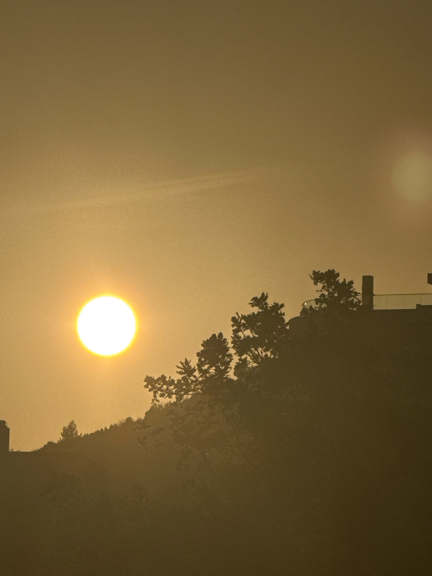 The image depicts a silhouetted landscape at sunset, or possibly sunrise, over the city of Boreti, Montenegro. A large, bright sun is prominently displayed in the left portion of the frame, appearing as a glowing orb against a hazy, golden sky. The foreground is dominated by the dark silhouettes of trees and the sloping terrain of a hill. In the upper right quadrant, silhouetted structures, possibly part of a building with a railing or balcony, are visible against the sky. The overall impression is one of atmospheric haze, common during twilight hours or in conditions of air pollution. No people are visible in the image.