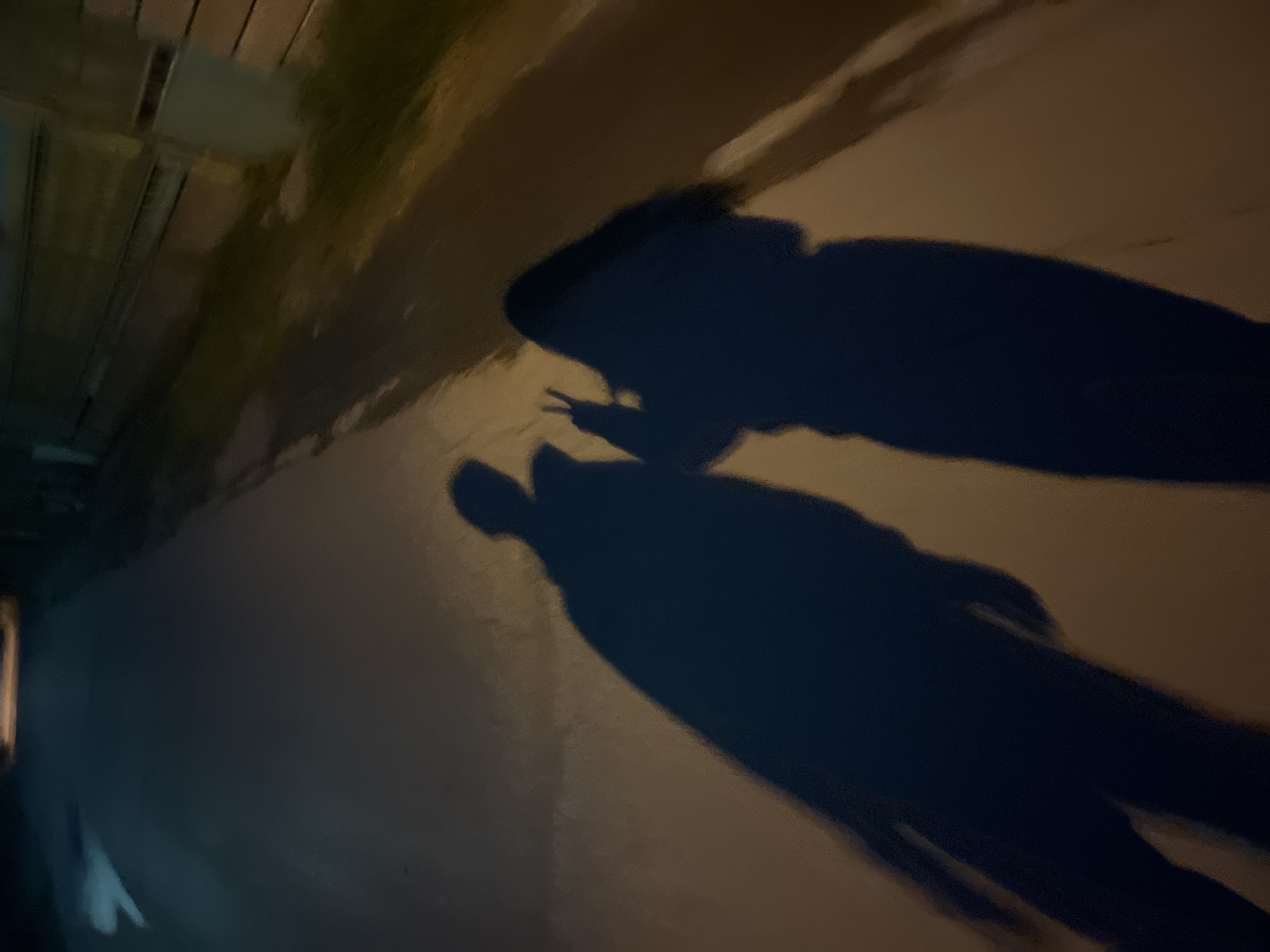 Two dark shadows are cast on a light-colored surface, likely pavement. The shadows resemble human figures, one appearing to be giving a peace sign with their hand. The scene is dimly lit, with a dark area to the left that suggests a building or wall. A wooden structure appears in the upper left corner, potentially a walkway or elevated platform. There is no information available that specifies the location as Sofia, Bulgaria.