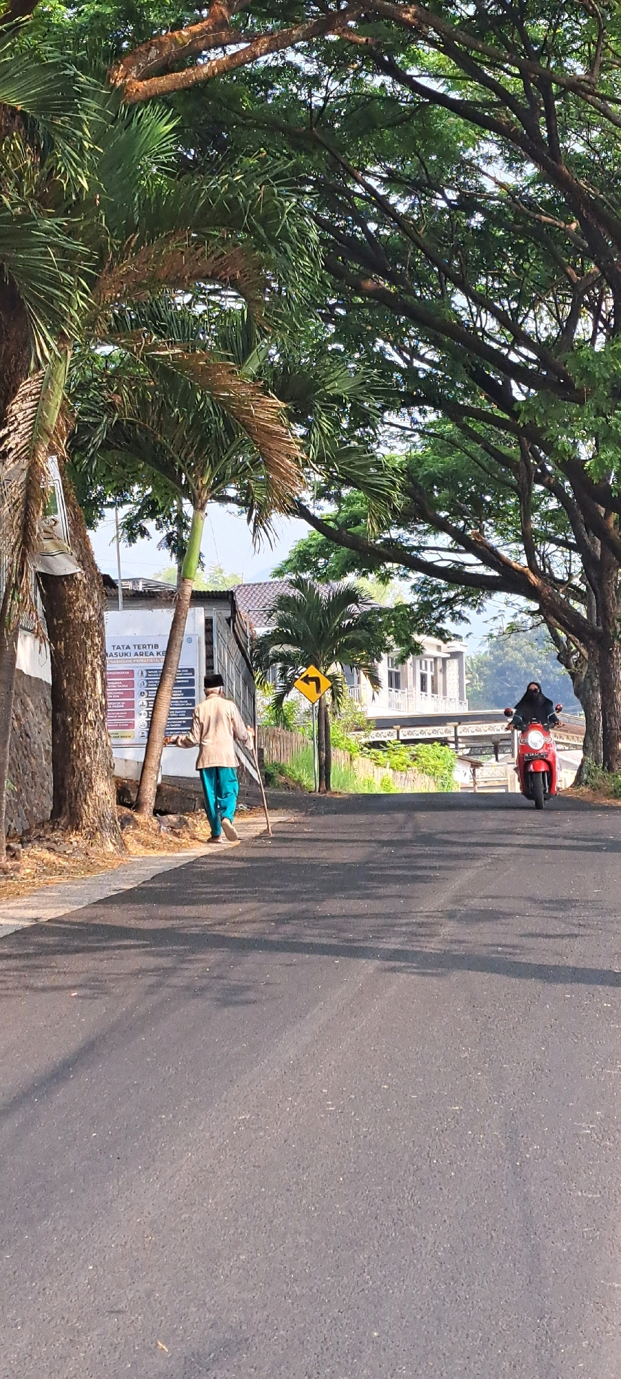 The image captures a street scene in Pandaan, Indonesia, likely in the morning or late afternoon due to the dappled sunlight. In the foreground, a man walks away from the camera, wearing a tan long-sleeved shirt, blue pants, and a black cap, and carrying a long stick or cane. To his right, a red scooter approaches, ridden by a person wearing a black head covering and mask.
The street is paved and appears to be a two-lane road. On the left side of the road, there are large trees with lush green foliage, casting shadows on the pavement. A signpost with text and icons is visible on the left, near a tree trunk. To the right of the road, more trees and a building with a white railing are visible in the background. A yellow directional sign with a curved arrow pointing left is mounted on a pole. The environment suggests a tropical or subtropical climate with abundant vegetation. The overall impression is a calm, everyday moment in a residential or semi-rural area of Pandaan.