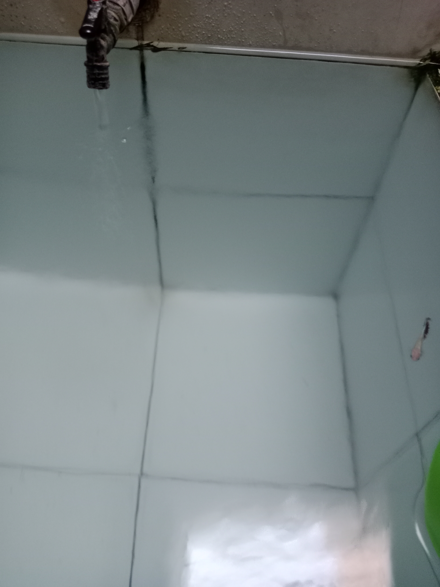 The image depicts a close-up, low-angle view of a bathroom sink area in Kediri City, Indonesia. A water faucet is visible at the top left, with a thin stream of water dripping into what appears to be a basin or shower floor. The walls are tiled with white squares, and dark grout lines are visible, suggesting age or perhaps some mold. The overall impression is one of a functional, albeit somewhat aged, bathroom. There are no people present in the frame.