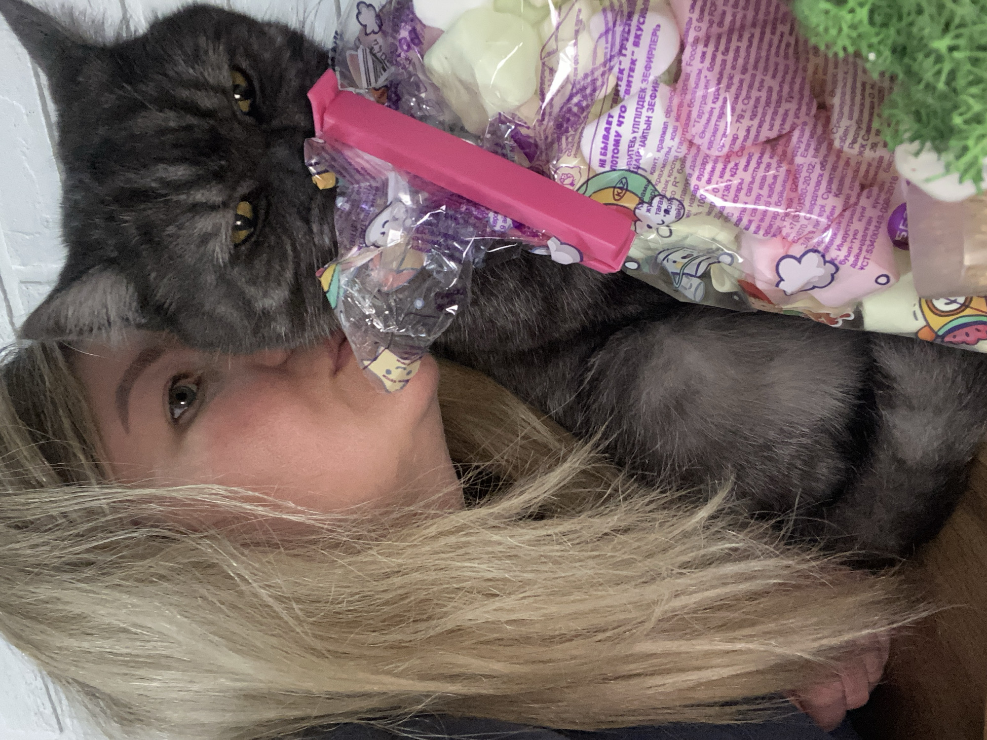 The image shows a close-up, intimate moment between a woman with blonde hair and a gray cat with striking yellow eyes, positioned as if lying down together. The cat's head is very close to the woman's face, specifically near her chin and mouth, suggesting an affectionate interaction. The cat's left eye is clearly visible, looking towards the viewer, while the woman's left eye is also visible, with her blonde hair fanning out around her.
Between the cat's head and the woman's hair is a transparent plastic bag filled with light-colored, pastel confectionery, likely marshmallows or zephyr. The bag is sealed with a bright pink clip. Cyrillic text is visible on the bag, identified by OCR as product information, including brand names like "ВИТЕК" and product type "ЗЕФИР" (zephyr). Ingredients like "сахар" (sugar) and "крахмал" (starch), along with "энергетическая ценность" (energy value), are mentioned. The text also contains warnings regarding certain ingredients (e.g., tartrazine's effect on children's attention) and lists manufacturing details, including cities like Ekaterinburg and Sverdlovsk Oblast in Russia, consistent with the given location context of Chaikovsky, Russia. A small green, moss-like artificial plant is visible in the upper right corner of the frame. The scene conveys a sense of warmth and companionship in an indoor setting.
