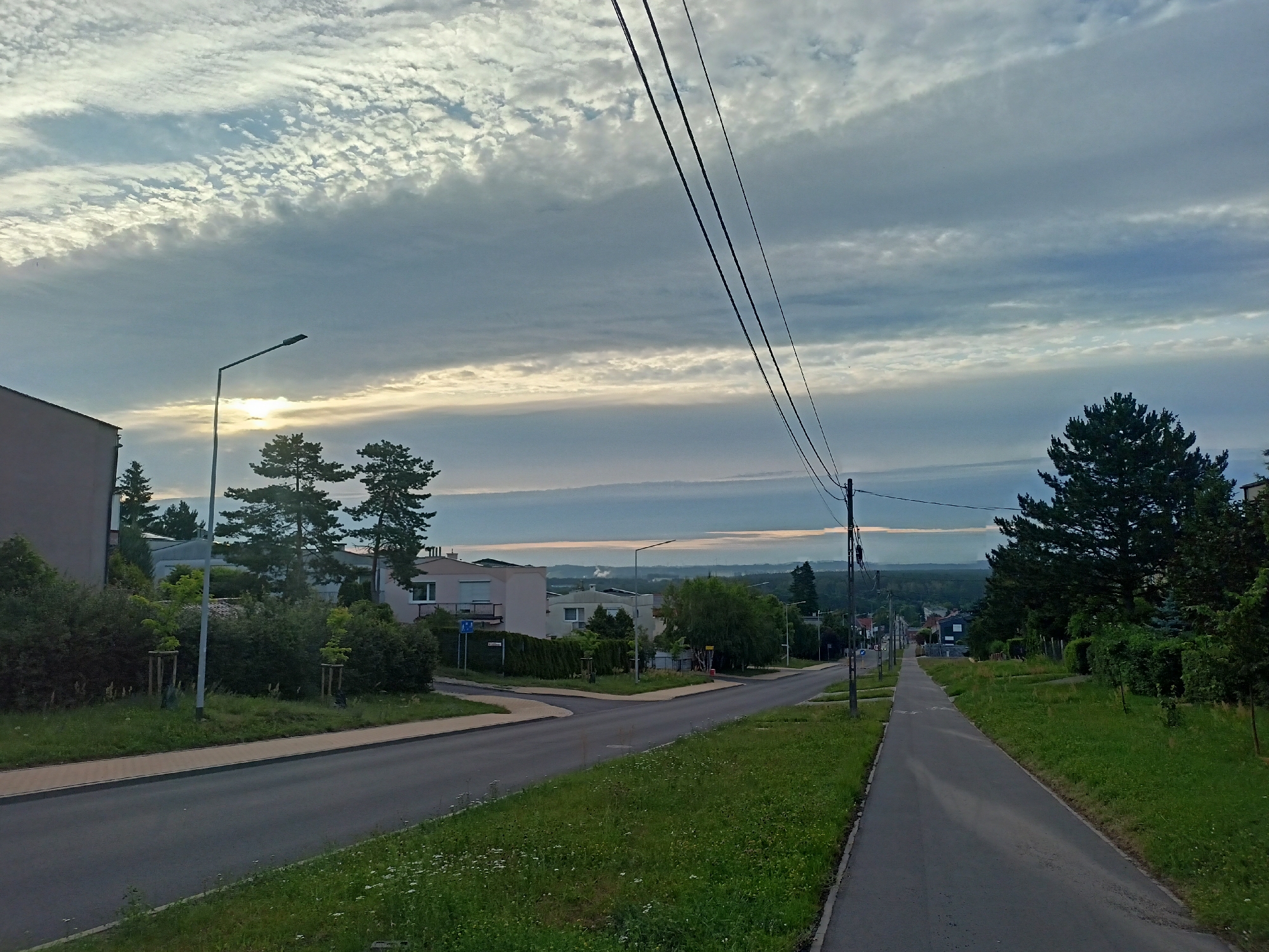 The image depicts a street scene in Grudziądz, Poland, under a cloudy sky with the sun attempting to break through. The foreground shows a paved road and a separate pedestrian path, bordered by grassy areas with scattered wildflowers and young trees. In the midground, a residential street intersects, with houses visible on either side, some featuring pitched roofs and windows. Streetlights are present along the road. Trees, including coniferous and deciduous varieties, are scattered throughout the scene, with a large coniferous tree dominating the right midground. Power lines stretch diagonally across the upper portion of the image. In the background, a hazy landscape with rolling hills and distant structures is visible. The overall impression is one of a quiet suburban or semi-rural environment.