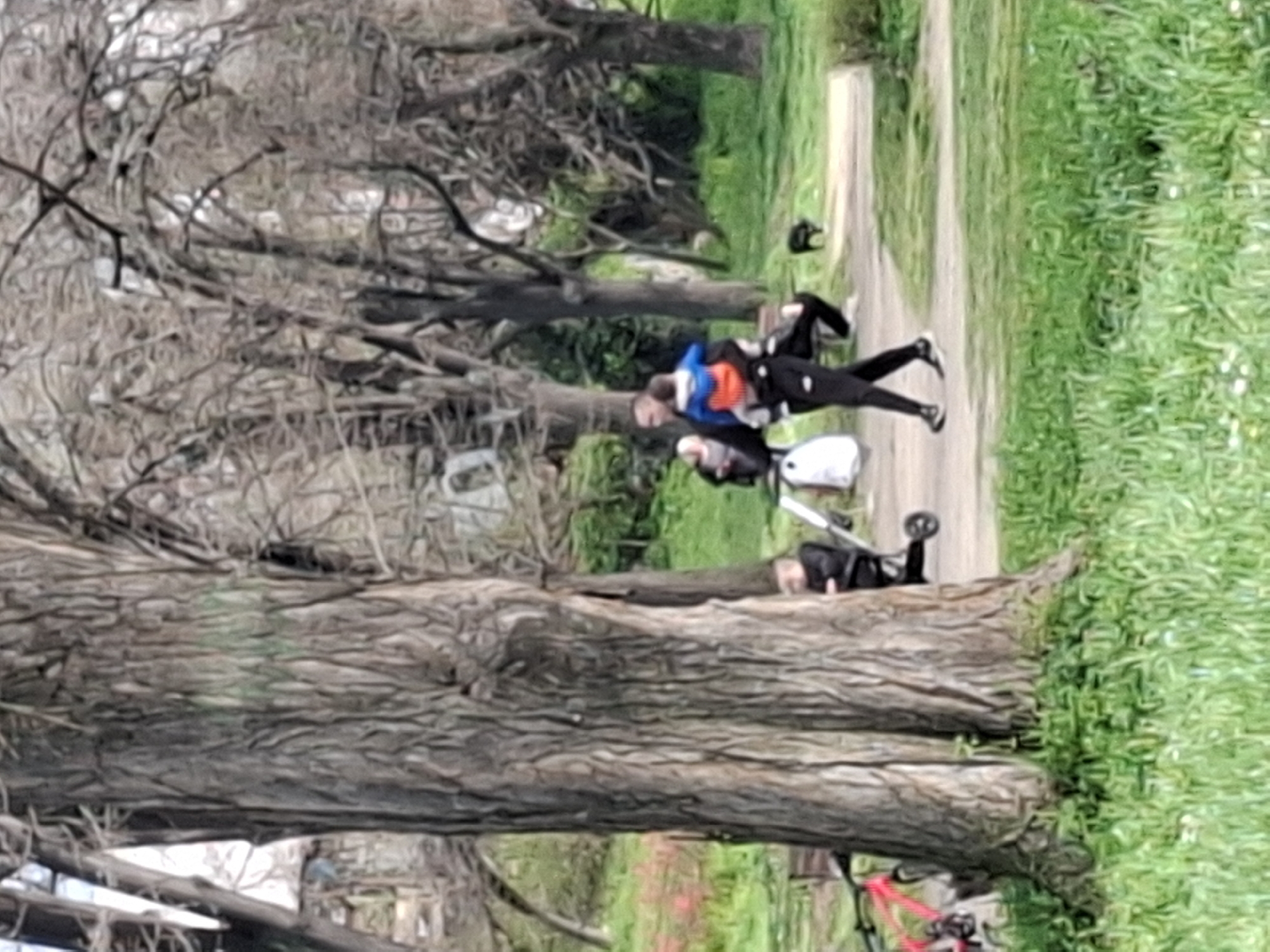A horizontal outdoor scene in Plovdiv, Bulgaria, shows a family along a pathway. A man, wearing a blue and orange jacket, carries a child and walks away from the viewer. Another man is present, pushing a stroller with a white bag. A child sits near the base of a large tree. A path stretches into the distance with a figure in the distance. The scene is framed by trees and green vegetation, and a red bicycle is parked near the tree.