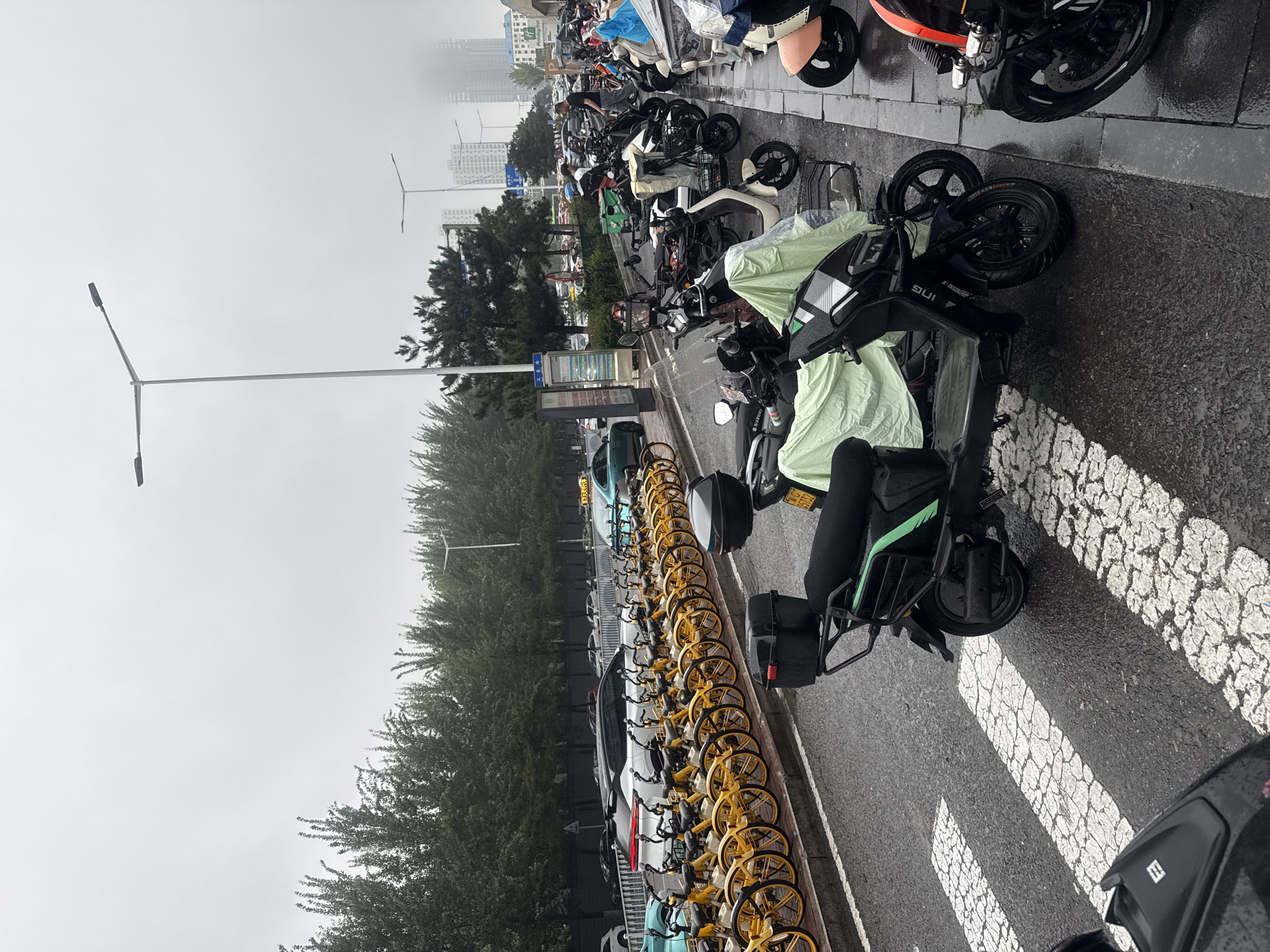 The image captures a street scene in Qinhuangdao, China, on a cloudy or overcast day. The foreground features a black electric scooter parked on a wet road, with cracked white painted pedestrian crossing lines visible. A light green tarp covers part of the scooter's rear. Behind it, more scooters are parked, some also covered with tarps. Further back, a long row of yellow shared bicycles is neatly arranged. Beyond the bicycles, cars are visible on a road, with trees lining the side. In the distance, several tall buildings, including what appears to be a hotel with a "Holiday Inn" sign, are partially obscured by fog or mist. Streetlights are also visible throughout the scene.