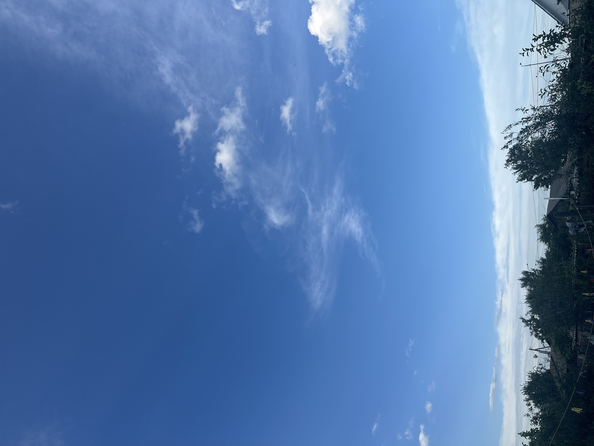 The image depicts a bright, clear blue sky with scattered white clouds. The clouds are wispy and feathery in some areas, with larger, puffier clouds in others. The sky occupies most of the frame, creating a sense of vastness and openness. On the right side of the image, a dense line of dark green trees borders the sky. The trees are lush and full, with some branches extending into the sky. Behind the trees, hints of buildings and structures are visible, suggesting a populated area. A clothesline with several colorful clothespins is strung across the foreground on the right, adding a touch of domestic detail. The overall scene suggests a sunny day, likely in the late morning or early afternoon, given the brightness of the sky and the clear visibility. There is no visible text in the image. The setting appears to be outdoors, possibly a backyard or a park area, with the trees providing a natural boundary between the open sky and the human-made environment. The image evokes a feeling of peace and tranquility.