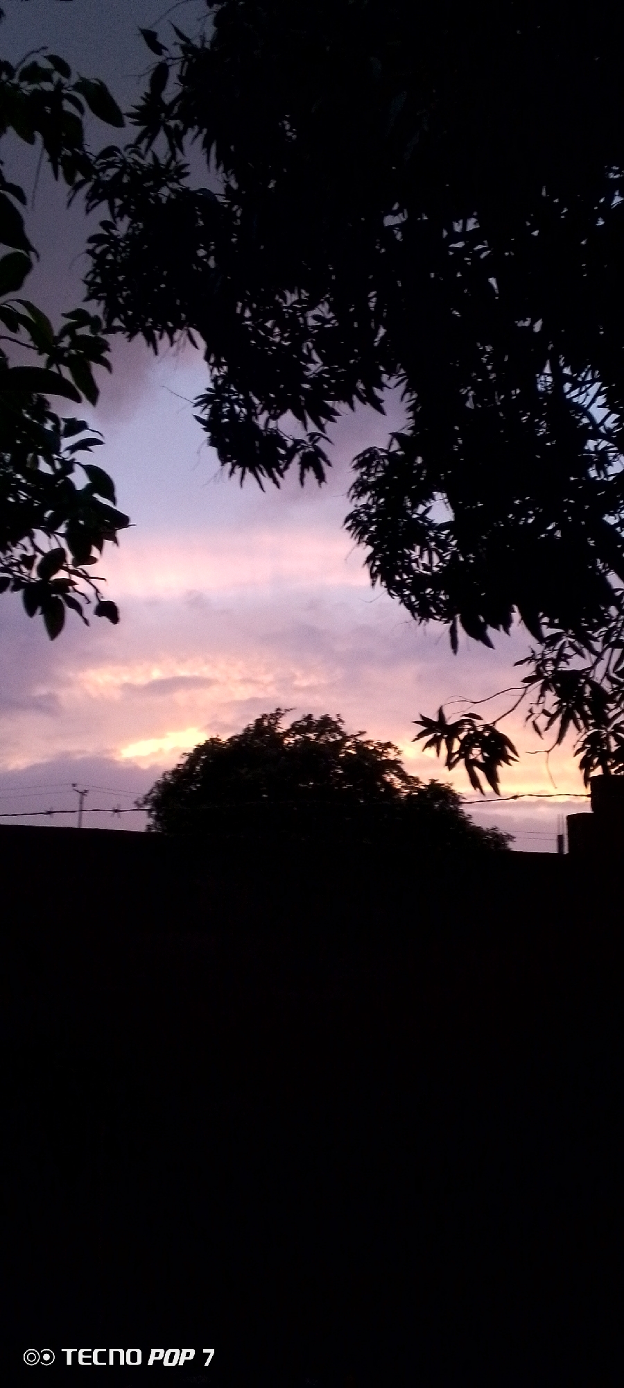 A silhouetted landscape features dark foliage in the foreground and middle ground against a twilight sky. The sky displays a gradient of colors, with lighter hues of pink and orange near the horizon transitioning to purples and grays higher up, interspersed with soft clouds. In the lower portion of the image, a dark silhouette of a building or wall is visible, and a faint electrical pole with wires can be seen against the sky on the left. The bottom right corner of the image contains a watermark that reads "TECNO POP 7". The scene appears to be an outdoor view, possibly from a residential area given the presence of the building silhouette and electrical pole. The overall impression is of a serene evening or dusk setting.