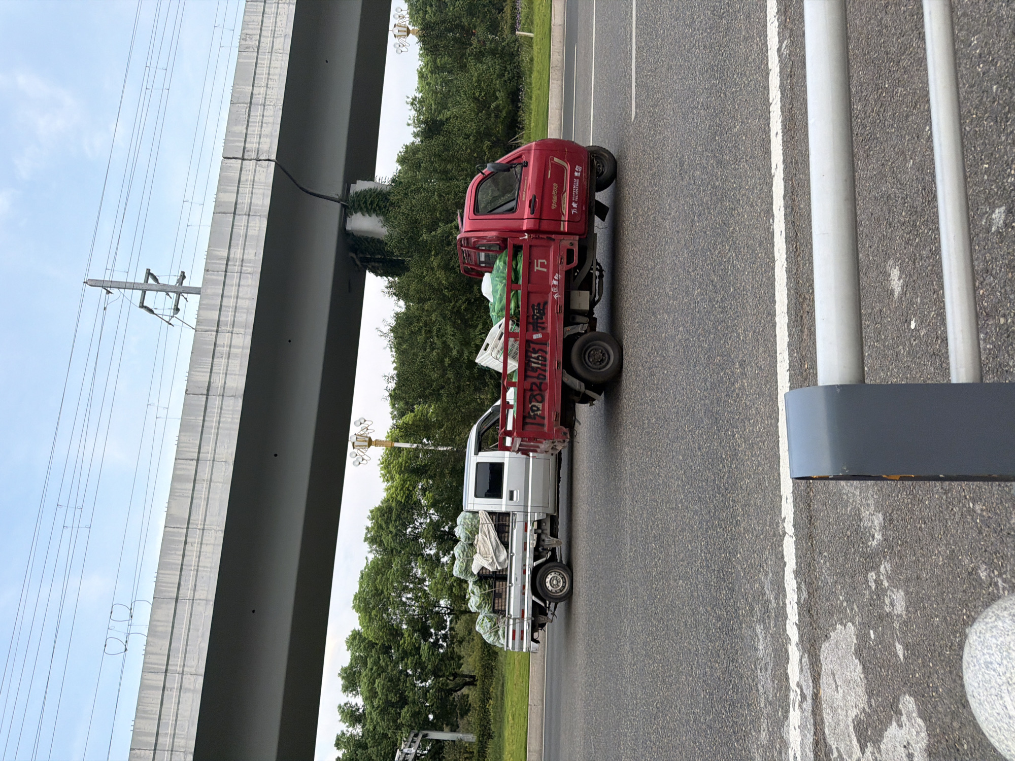 In Jiangjin, China, on a cloudy day, two pickup trucks laden with goods are traveling on an asphalt road. The silver truck in the foreground, on the left, is loaded with what appear to be large, green, netted objects, possibly agricultural produce like watermelons or cantaloupes. These items are stacked in black crates and covered with a white tarp. The truck has a single cab and a long bed. To the right of the silver truck, and slightly behind it, is a red three-wheeled pickup truck. This truck is also carrying goods, including some white crates and green coverings, similar to the silver truck. The red truck has a more compact design.
In the background, a massive concrete overpass stretches across the scene, supported by pillars. Electrical wires and poles are visible above the overpass, indicating infrastructure for transportation or power. Dense green trees and foliage line the side of the road, creating a natural backdrop to the urban landscape. The road has white lane markings. The foreground of the image shows a close-up of a gray metal guardrail and a portion of a gray concrete barrier. The overall impression is a snapshot of everyday commerce and transportation in a semi-urban or suburban setting in Jiangjin.