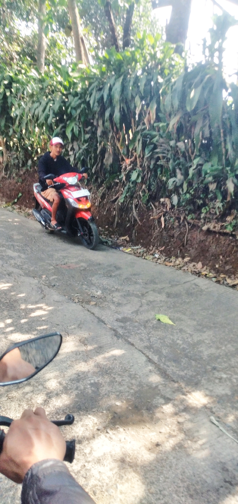 In Cilaku, Indonesia, a man wearing a black shirt and tan shorts rides a red and white scooter on a paved road. He is wearing a white baseball cap with red accents. The road is lined with a dense growth of green bushes and trees, with the ground on the right side of the road appearing to be a dirt embankment with exposed roots and scattered leaves. Sunlight filters through the trees, casting dappled shadows on the road. In the foreground, a hand is visible on the handlebars of another scooter, suggesting the image was taken by someone riding behind the man on the red scooter.