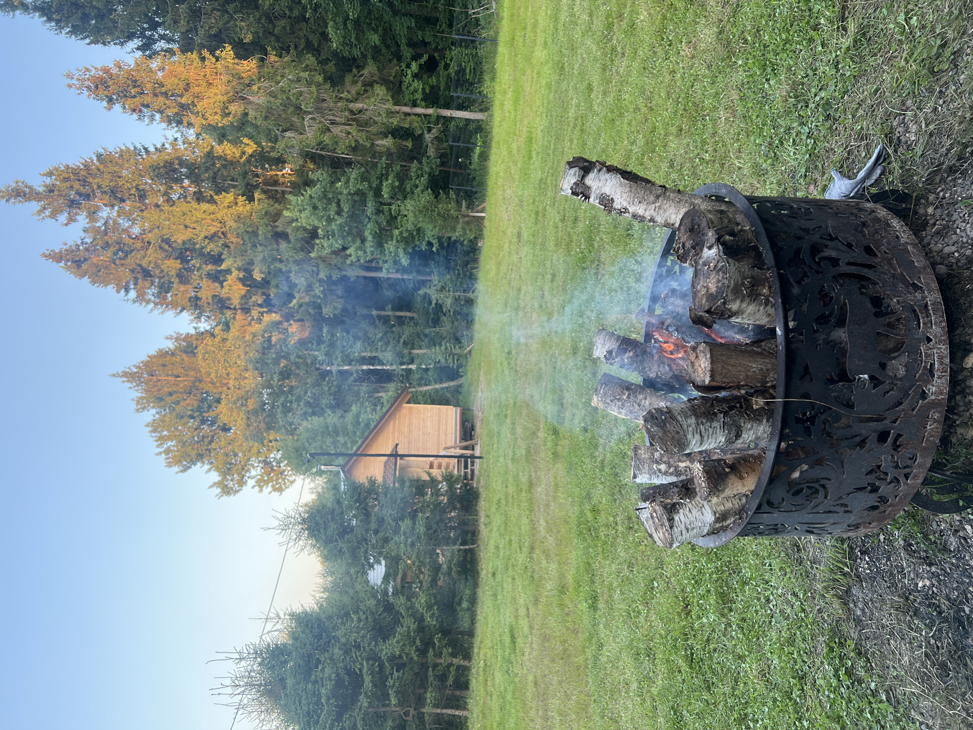 In the city of Popovka, Russia, a campfire burns in a decorative metal fire pit filled with logs. The fire pit sits on a gravelly surface surrounded by green grass. In the background, a small wooden house is visible amidst a dense forest of fir and pine trees. The sky is clear and blue, suggesting it is either early morning or late afternoon, with sunlight illuminating the tops of the trees. Smoke from the fire drifts upwards, dissipating into the air.