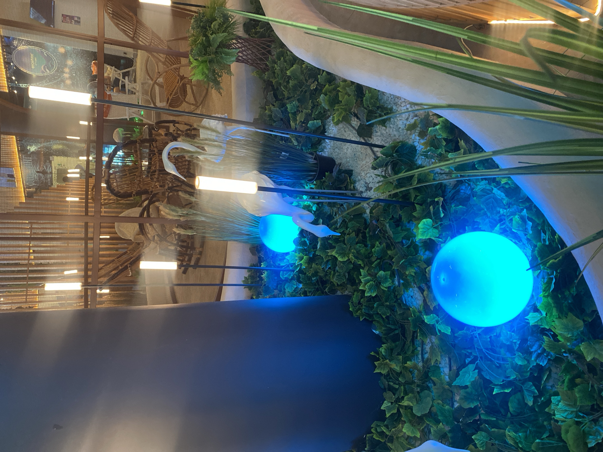 This image depicts an indoor scene with a decorative display. The foreground features lush green artificial ivy covering the ground, punctuated by two large, illuminated blue spheres. To the right, a light-colored, curved architectural element is visible, with tall, thin green foliage growing in front of it.
In the midground, a white swan statue is placed amongst the foliage and white gravel. Several tall, narrow white lights with black stands are positioned throughout the display. Behind this, a light brown, woven rattan chair and other furniture are visible through a latticed partition. The background appears to be a dimly lit indoor space with more latticework and lighting fixtures.
The image does not contain any specific elements that would indicate it is located in Berdsk, Russia. The scene appears to be a decorative display in a commercial or public space, possibly a cafe, restaurant, or retail establishment.