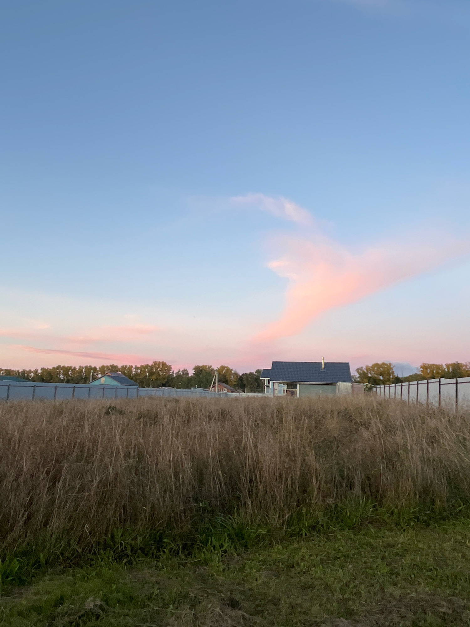 The image depicts a rural landscape at dusk, likely in Красная Пресня Снт, Russia. A vast expanse of dry, tall grass dominates the foreground, with a strip of greener grass at the very bottom. A metal fence runs horizontally across the mid-ground, separating the grassy field from a row of trees and several houses. The sky is a gradient of soft blue and pink, with a wispy cloud formation tinged with pink. One house, a modern structure with a dark roof, is clearly visible behind the fence. The overall scene is serene and indicative of a peaceful evening in a suburban or rural setting.