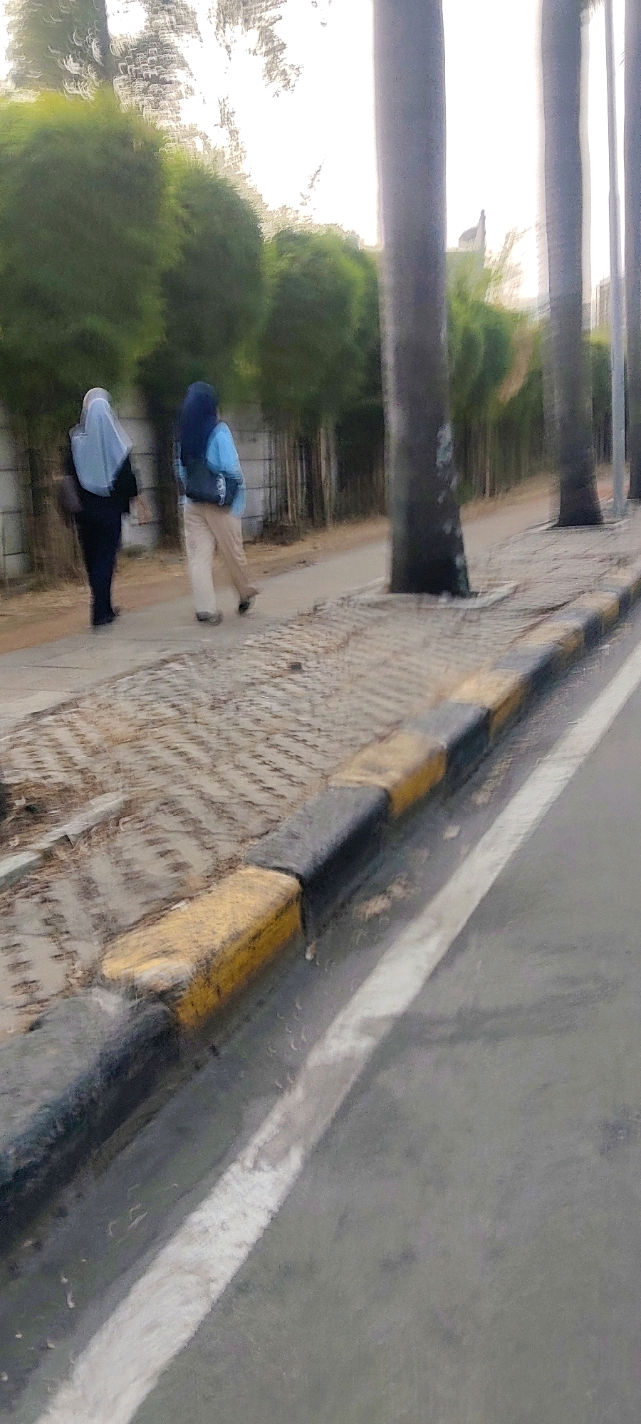 In Mekarmukti, Indonesia, two individuals, likely women, are walking on a paved sidewalk adjacent to a road. The person on the left wears a light blue hijab and a dark outer garment, carrying a dark bag. The person on the right wears a dark blue hijab and a light blue jacket over tan trousers, also carrying a bag. The sidewalk is bordered by a curb with alternating yellow and black sections. Beyond the sidewalk, a row of palm trees with thick trunks stands along a wall. The environment appears to be an outdoor urban setting.
