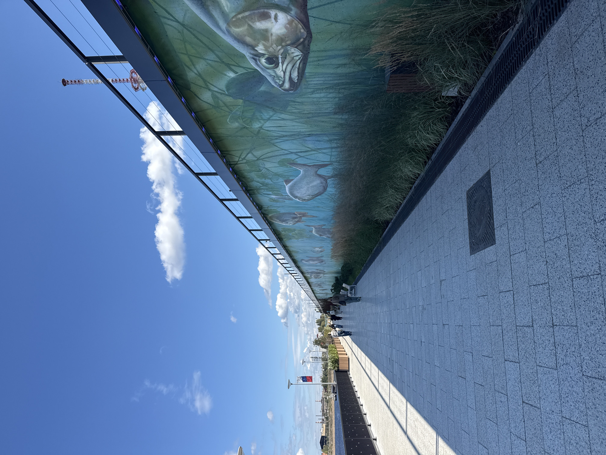 The image depicts a sunny day at a riverside promenade in Perm, Russia. A wide, paved walkway made of grey granite tiles stretches into the distance, casting a long shadow from an unseen structure on the left. To the right of the walkway is a tall retaining wall adorned with a vibrant mural of fish swimming amongst reeds, painted in shades of green and blue. The mural is illuminated from above by a series of blue lights. Beyond the mural, tall grasses and plants grow, adding a natural element to the urban landscape.
Several people are seen walking along the promenade, dressed in casual attire, suggesting a leisurely activity. In the background, a red and white tower structure is visible against a clear blue sky dotted with white clouds. The river is visible on the left side of the promenade, with a black railing separating it from the walkway. Further in the distance, industrial buildings and structures can be seen along the riverbank. A Russian flag is also visible on a flagpole near the river. The overall scene suggests a well-maintained public space designed for recreation and enjoyment.