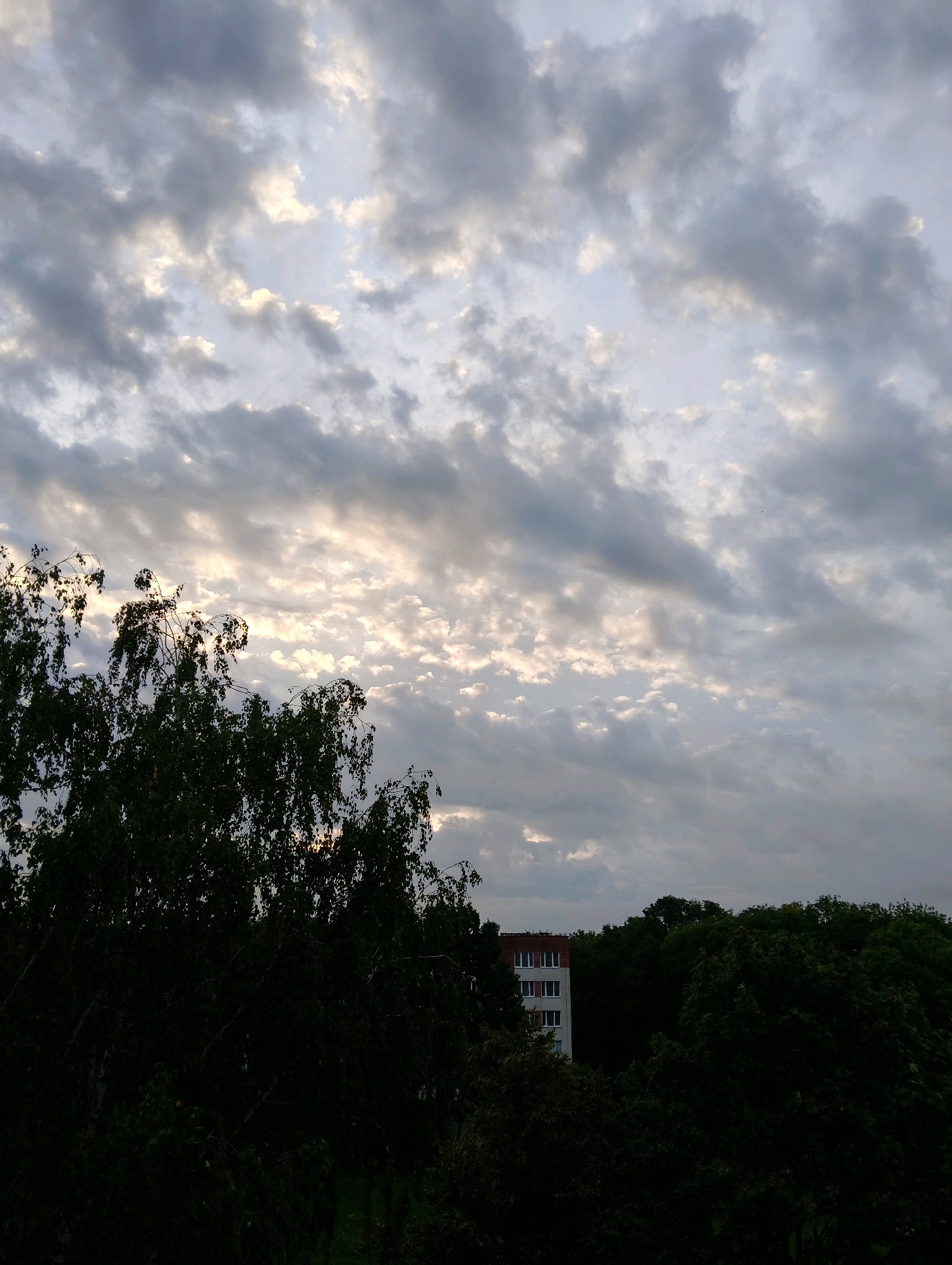 A cloudy sky hangs over a cityscape in Hrodna, Belarus. In the foreground, the dark silhouettes of trees obscure the lower portion of the image. Behind the trees, a multi-story building with red trim and white windows is visible, partially hidden by the foliage. The sky is filled with a variety of clouds, ranging from dark, heavy masses to lighter, wispy formations, with patches of sunlight breaking through. The overall scene suggests it is either early morning or late evening, given the lighting conditions.
