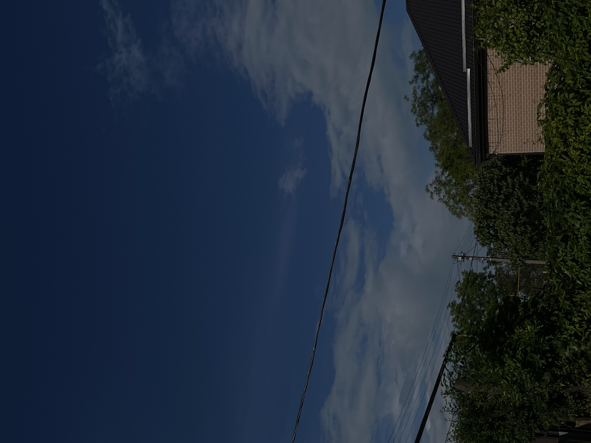 The image, captured in Novopokrovskaya, Russia, depicts a bright, sunlit daytime scene predominantly featuring a deep blue sky with scattered white clouds. A dark power line extends diagonally across the frame from the upper-left to the lower-right.
On the right side of the image, a section of a building is visible, characterized by a dark roof and a light brown brick wall. This structure, along with parts of the lower-right corner of the frame, is heavily bordered and partially obscured by lush, dense green foliage and trees. A utility pole with multiple wires is also partially visible through the greenery in the lower-right area.
Within the vast blue expanse of the sky, particularly in the upper-left quadrant, several extremely small, faint, and indistinct pink or magenta objects can be observed. These appear as tiny, irregularly shaped specks, some individually and others in a small cluster, against the dark blue backdrop, near the edges of the white clouds. The overall lighting suggests a clear day. No visible text is present in the media file.