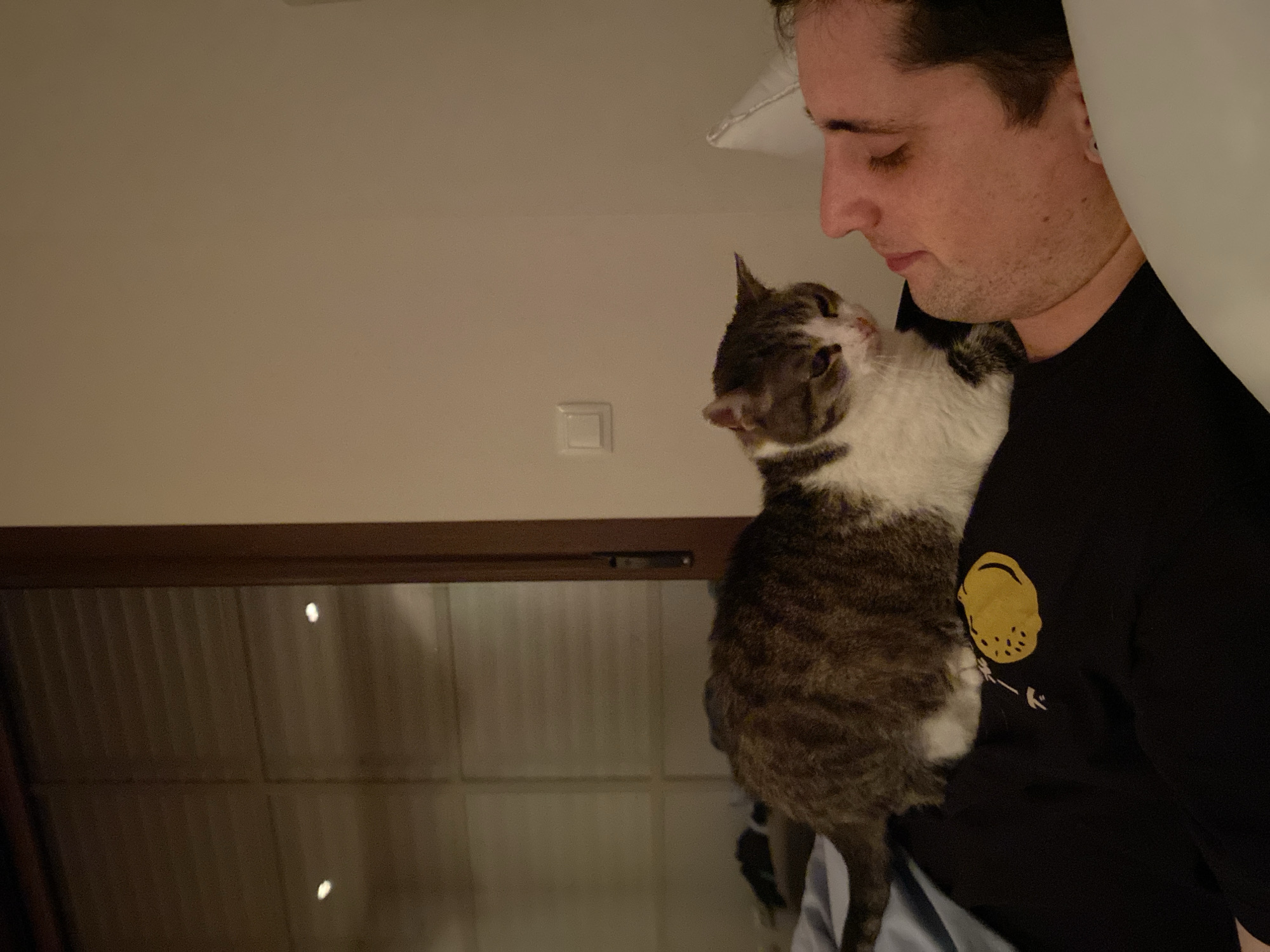 A person with fair skin and dark hair is holding a gray and white tabby cat. The person is wearing a black t-shirt with a yellow graphic. The cat appears to be nuzzling the person's neck. In the background, there is a light-colored wall with a light switch and a dark wooden ledge or frame. The image appears to be taken indoors. There is no discernible information to place the photo in Villaviciosa, Spain.