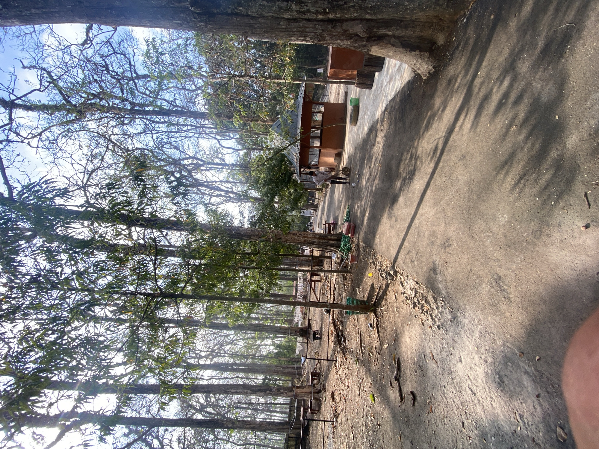 In the city of Ketileng, Indonesia, a man is sweeping a dirt path with a broom, near a small open-air structure with a brown roof. He is dressed in a light-colored shirt and dark pants. Scattered around the area are various objects including buckets, red bags, and green hoses. The scene is set in a park-like environment with tall trees and dappled sunlight casting shadows on the ground. In the background, there are wooden benches and tables, suggesting a recreational area. The overall impression is one of a clean-up operation in a natural outdoor setting.